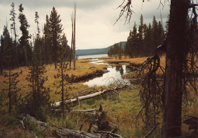 Backcountry camping in Yellowstone