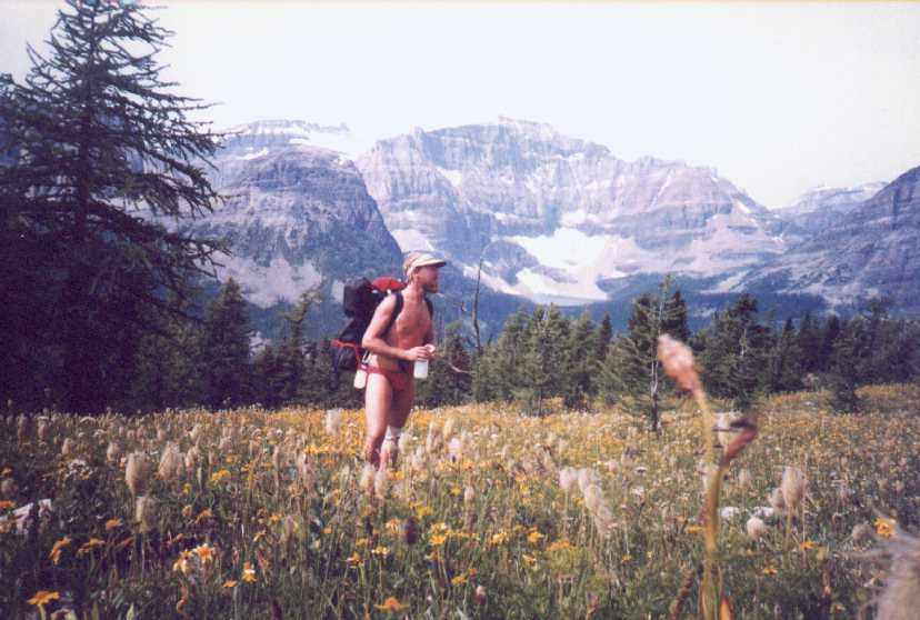 12,000 feet; alpine flowers everywhere!