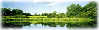 Link to Charles River Watershed Association