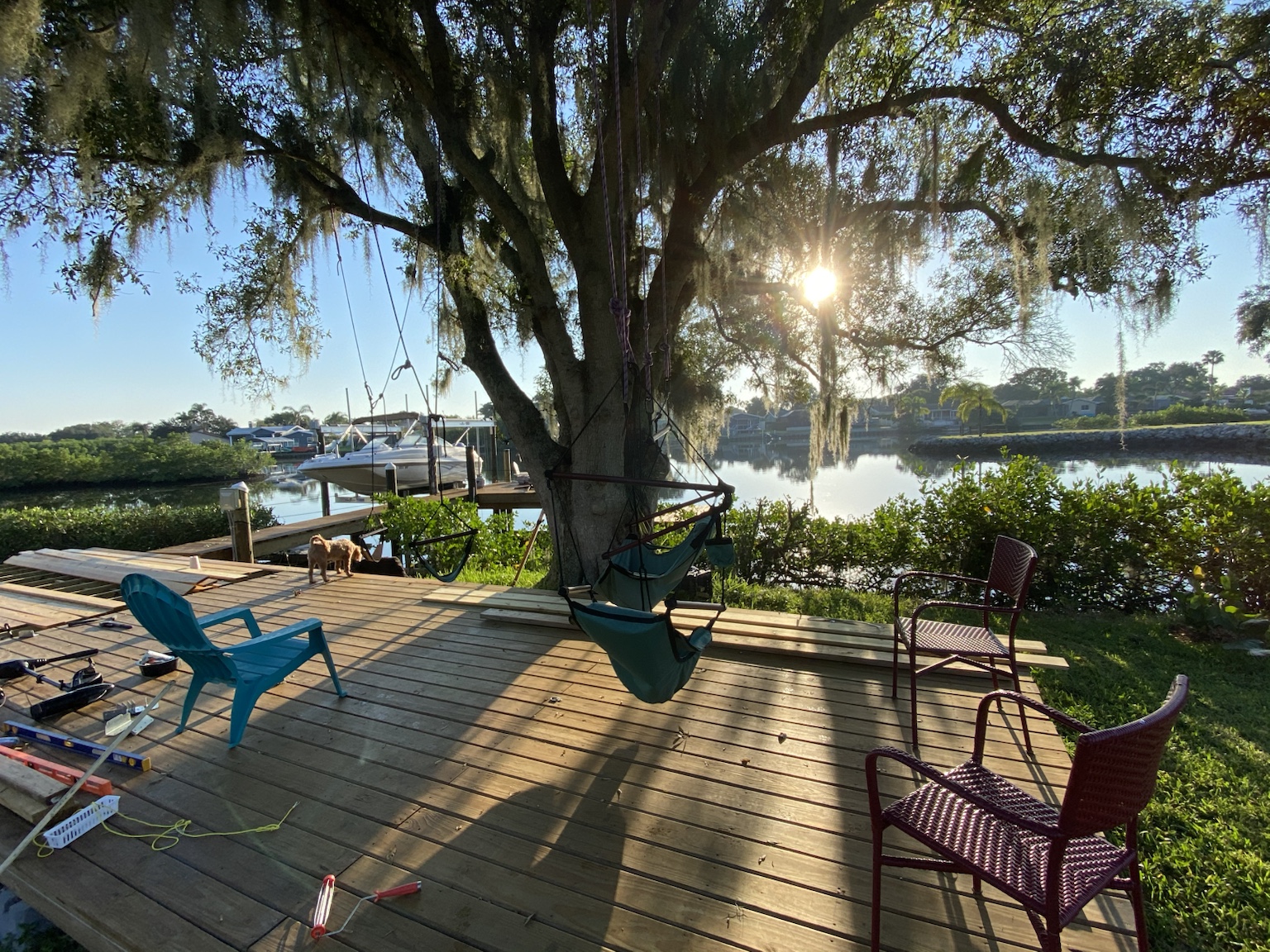 Morning light filtering through Spanish moss onto the deck and waterfront.