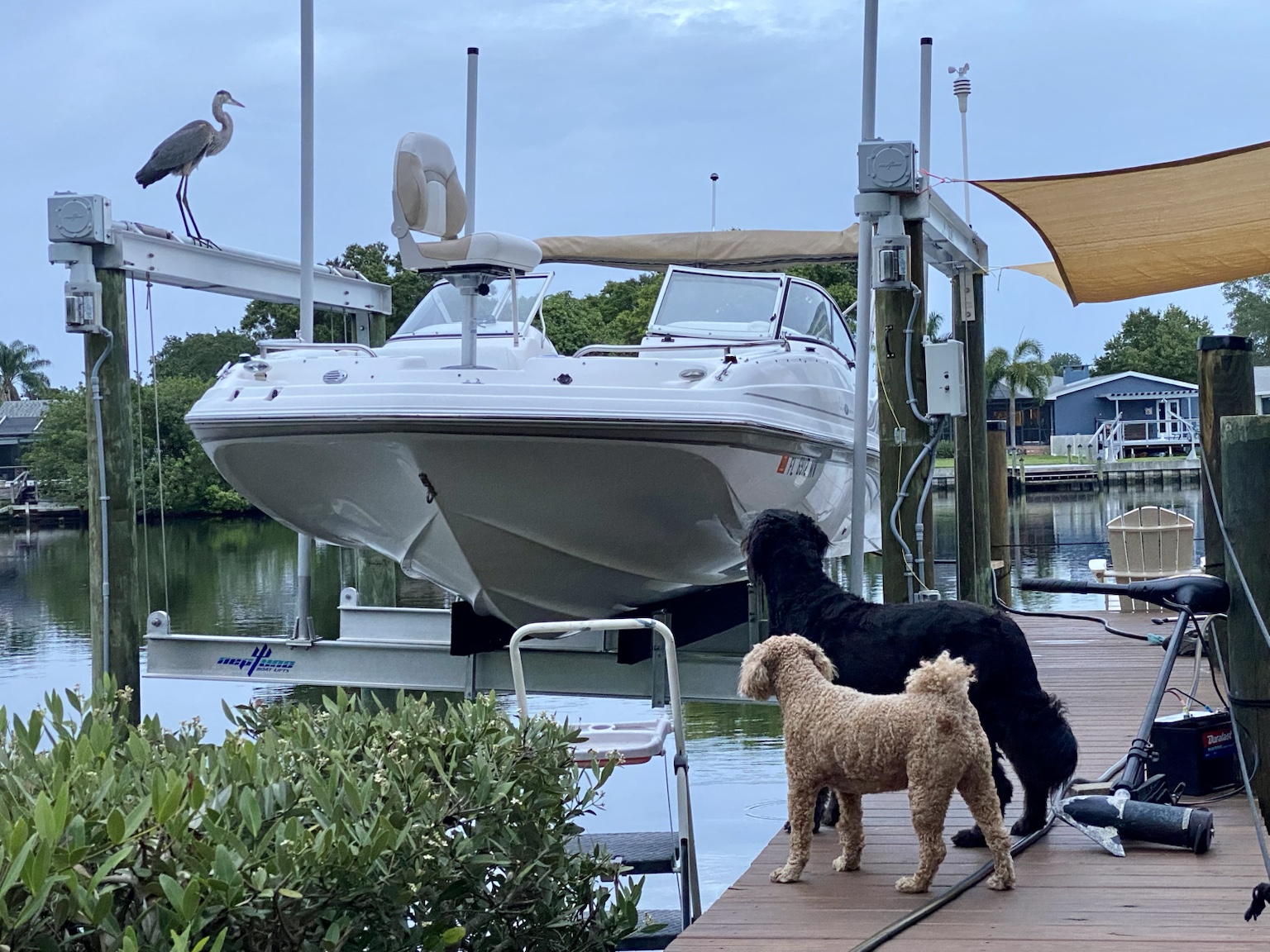 The Hurricane boat on its lift, ready for family trips around Upper Tampa Bay.