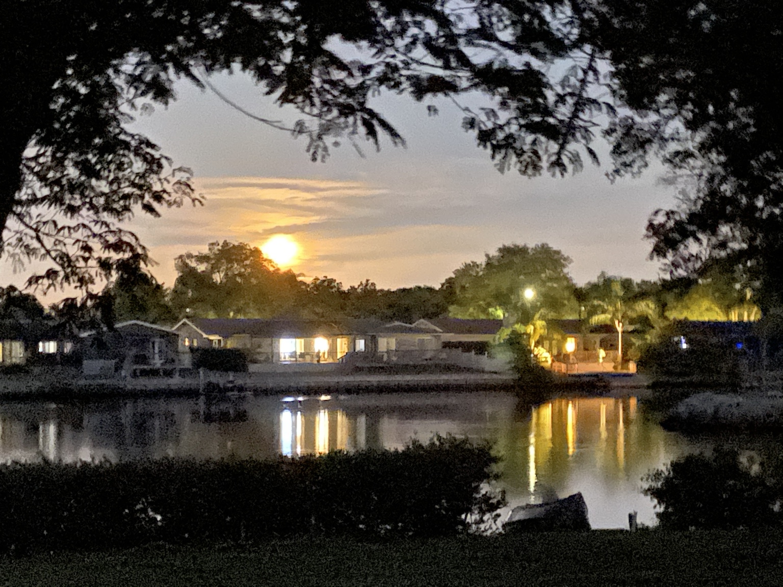 Moonlight and reflections across Allen's Creek after dark.