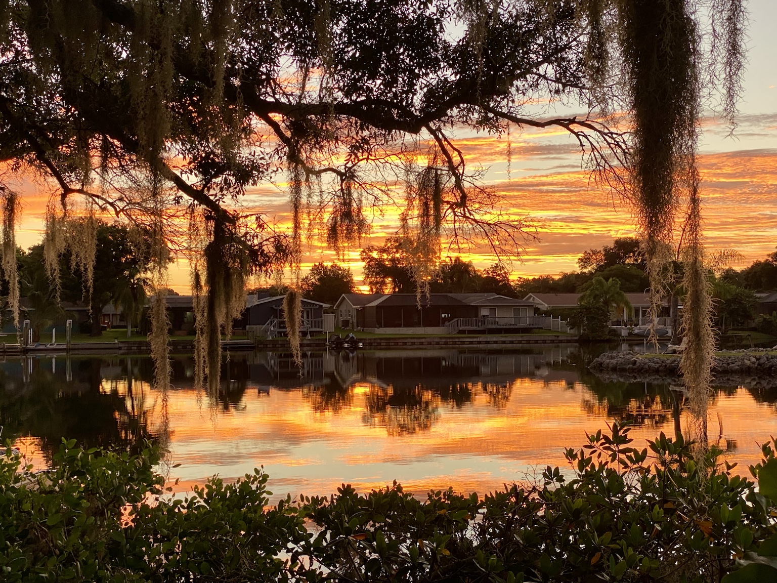 A fiery sunset framed by oak branches and hanging Spanish moss.