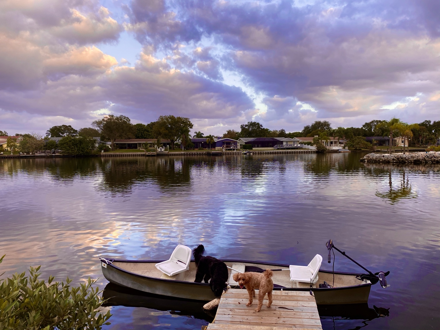 The old canoe at the little dock with both dogs under a beautiful evening sky—daily waterfront life at its best.