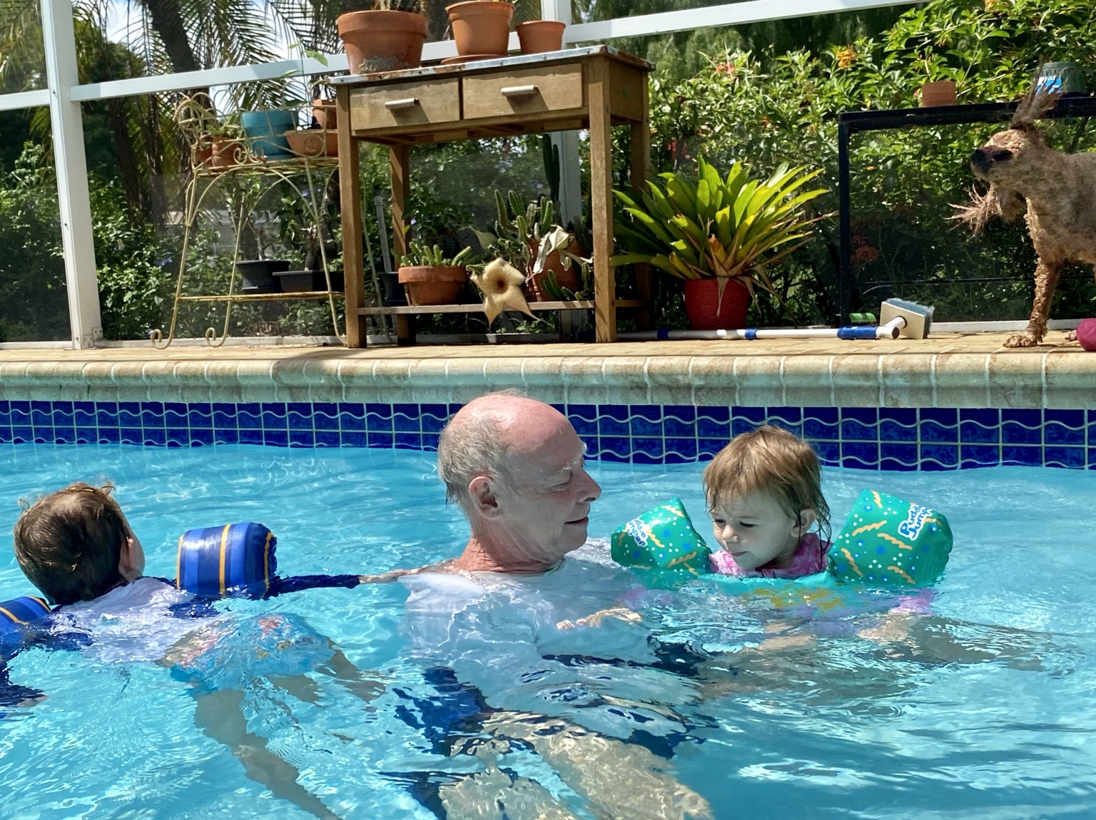 Cooling off in the pool with the grandchildren during a family visit.