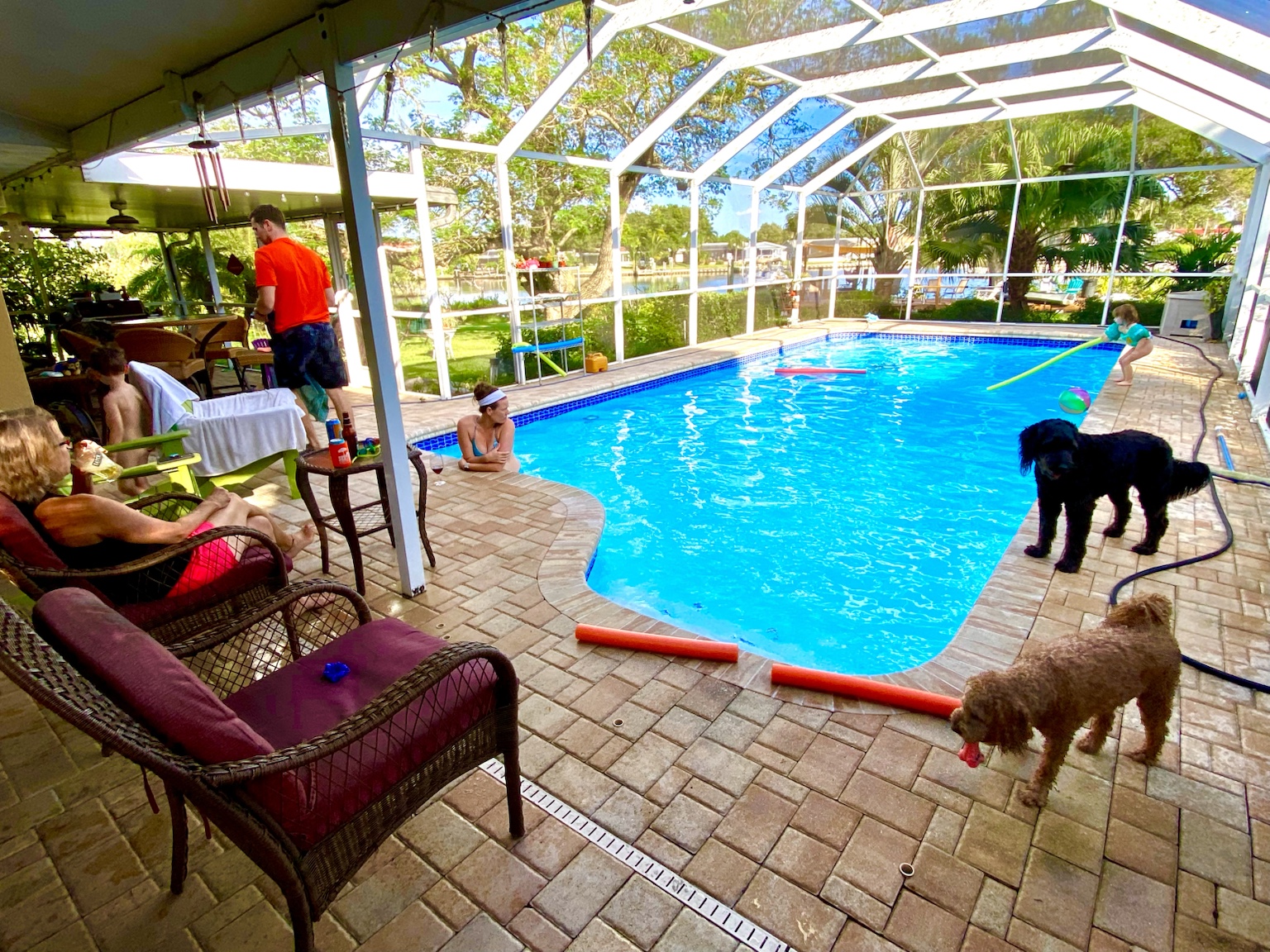 The screened pool shared with dogs, family, plants, and plenty of Florida sunshine.