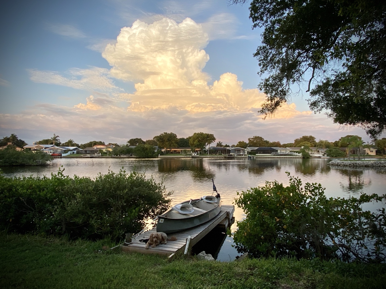 The canoe waiting beside the creek beneath a towering Florida thunderhead.