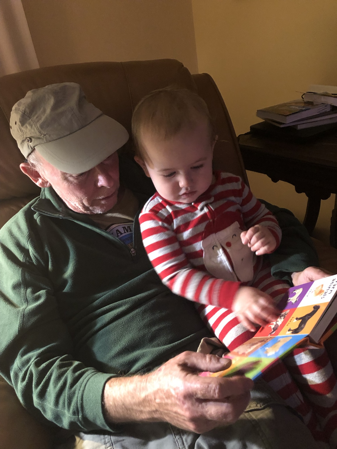 A quiet indoor moment reading with one of the grandchildren.