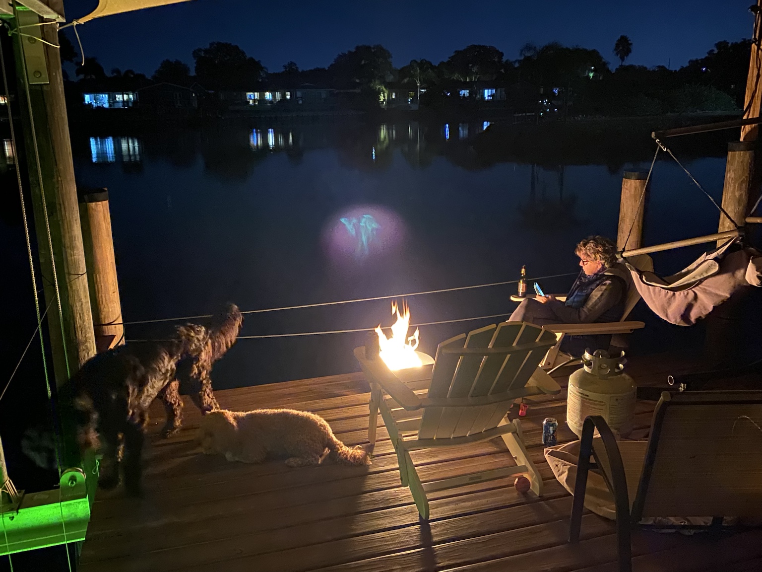The dogs staying close while we enjoyed a fire beside the creek.