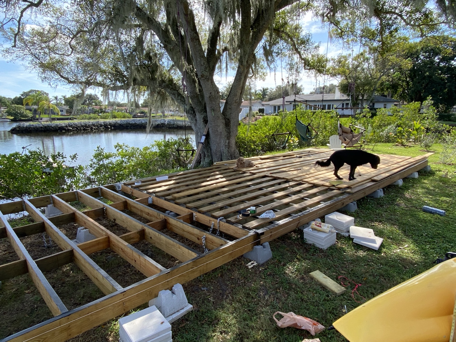 The deck framing under construction, with one of the dogs inspecting the job.