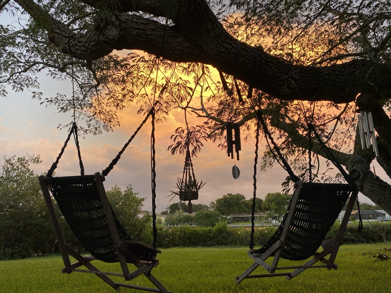 The hanging chairs under the spreading live oaks became one of the most relaxing places on the property.