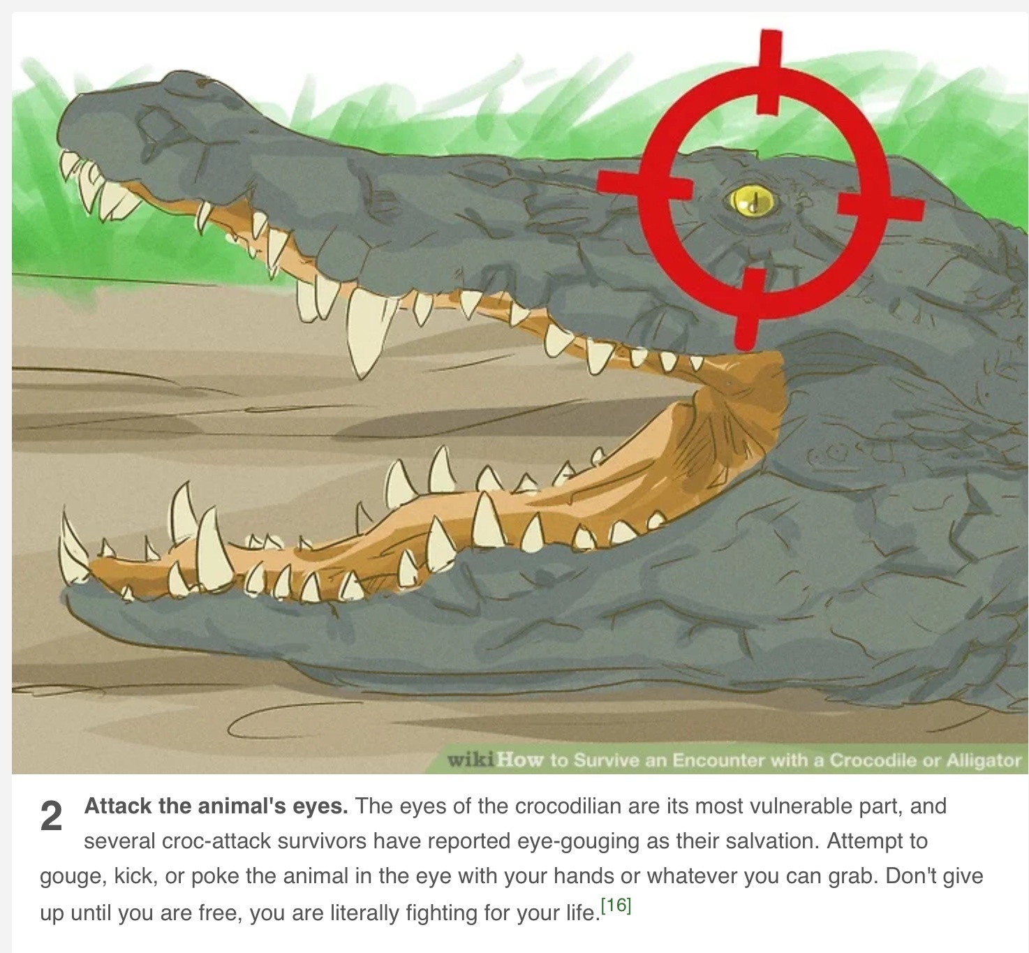A survival illustration identifying the eyes as a last-resort target only during an actual attack.