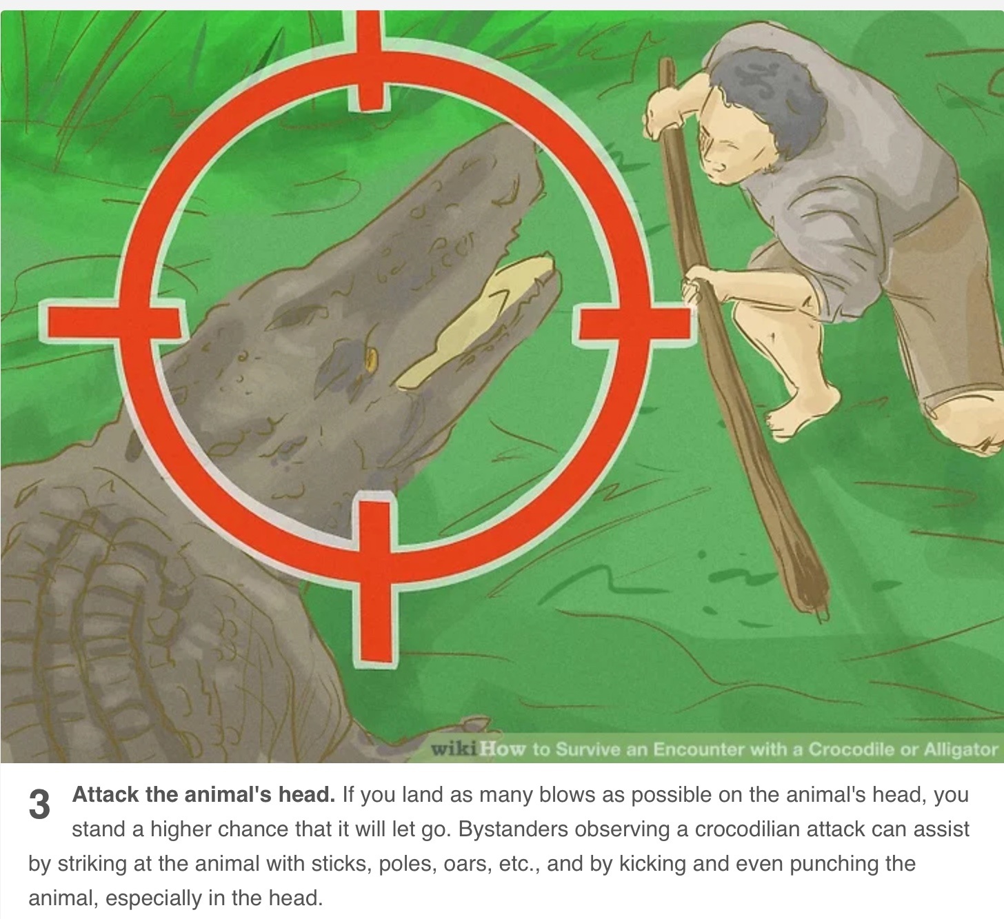 A survival illustration showing force directed toward the head during an actual attack—not an ordinary encounter.