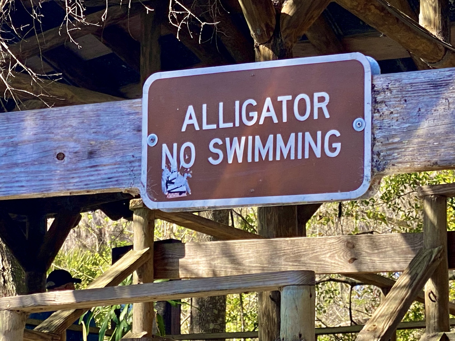 An “Alligator—No Swimming” sign warning visitors to stay out of the water.