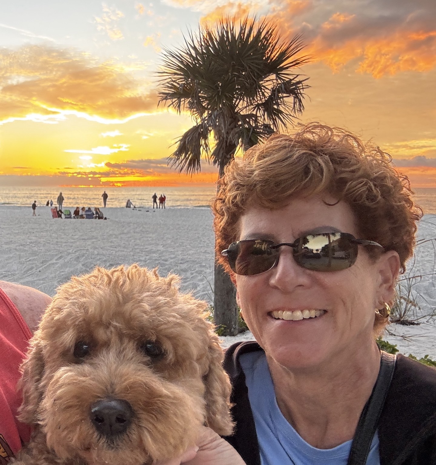 Beach sunset, palm tree, and Buddyboy making sure the scenery knows who the real subject is.