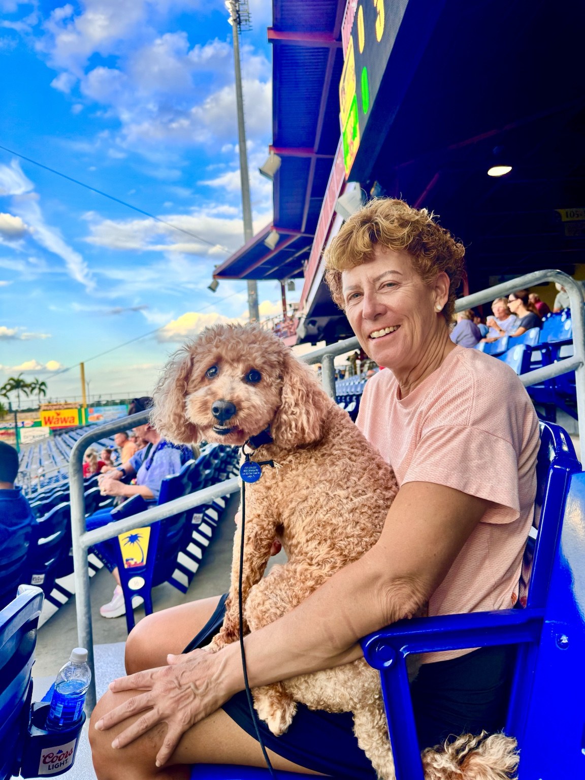 Blue skies, boats, and Buddyboy checking whether this outing includes snacks.