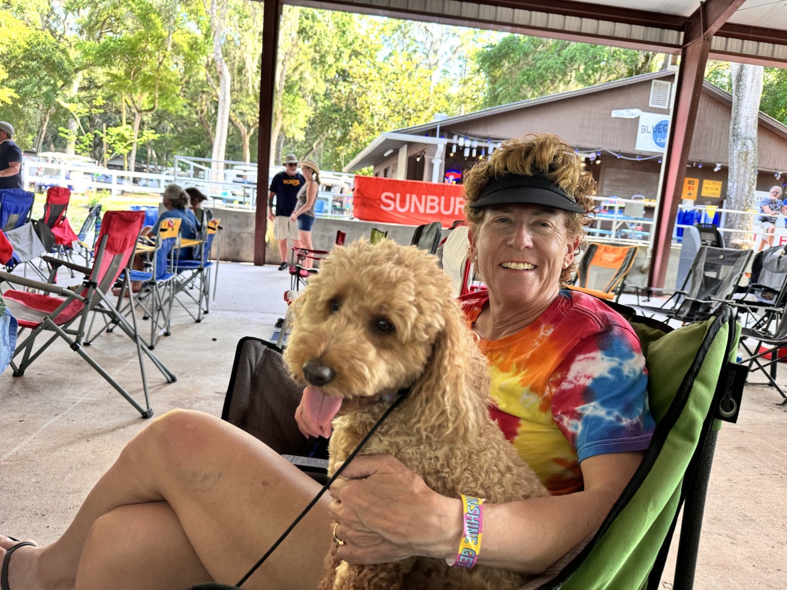 Festival seating, shade, and Buddyboy looking like he has backstage privileges.