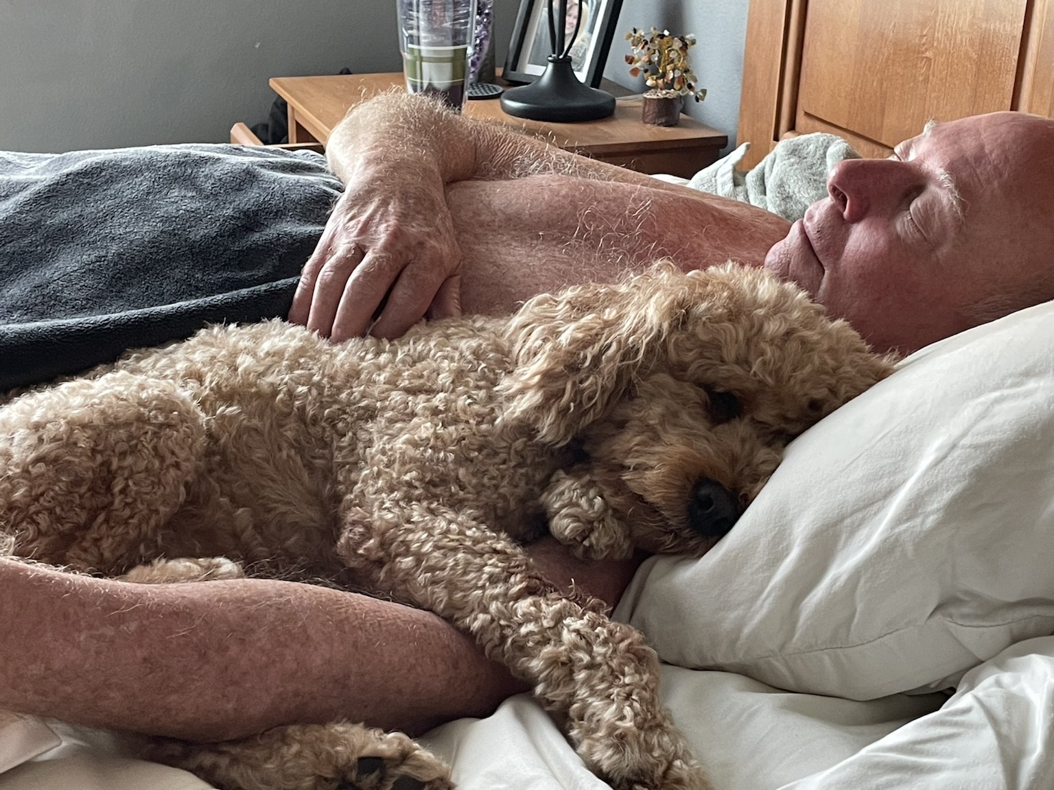 Nap management is serious work, and Buddyboy is clearly highly qualified.