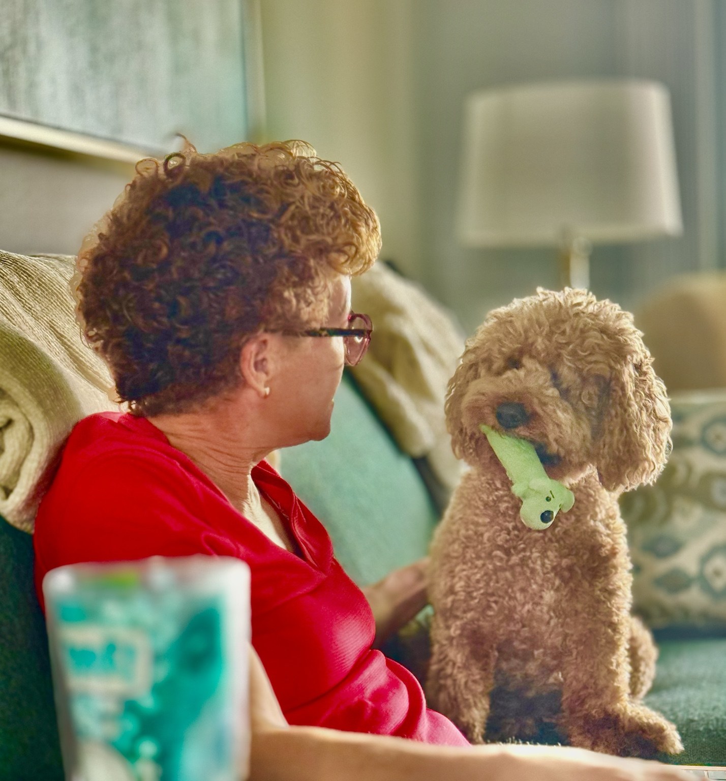 A face-to-face meeting with Buddyboy, who would like to discuss more treats and fewer delays.