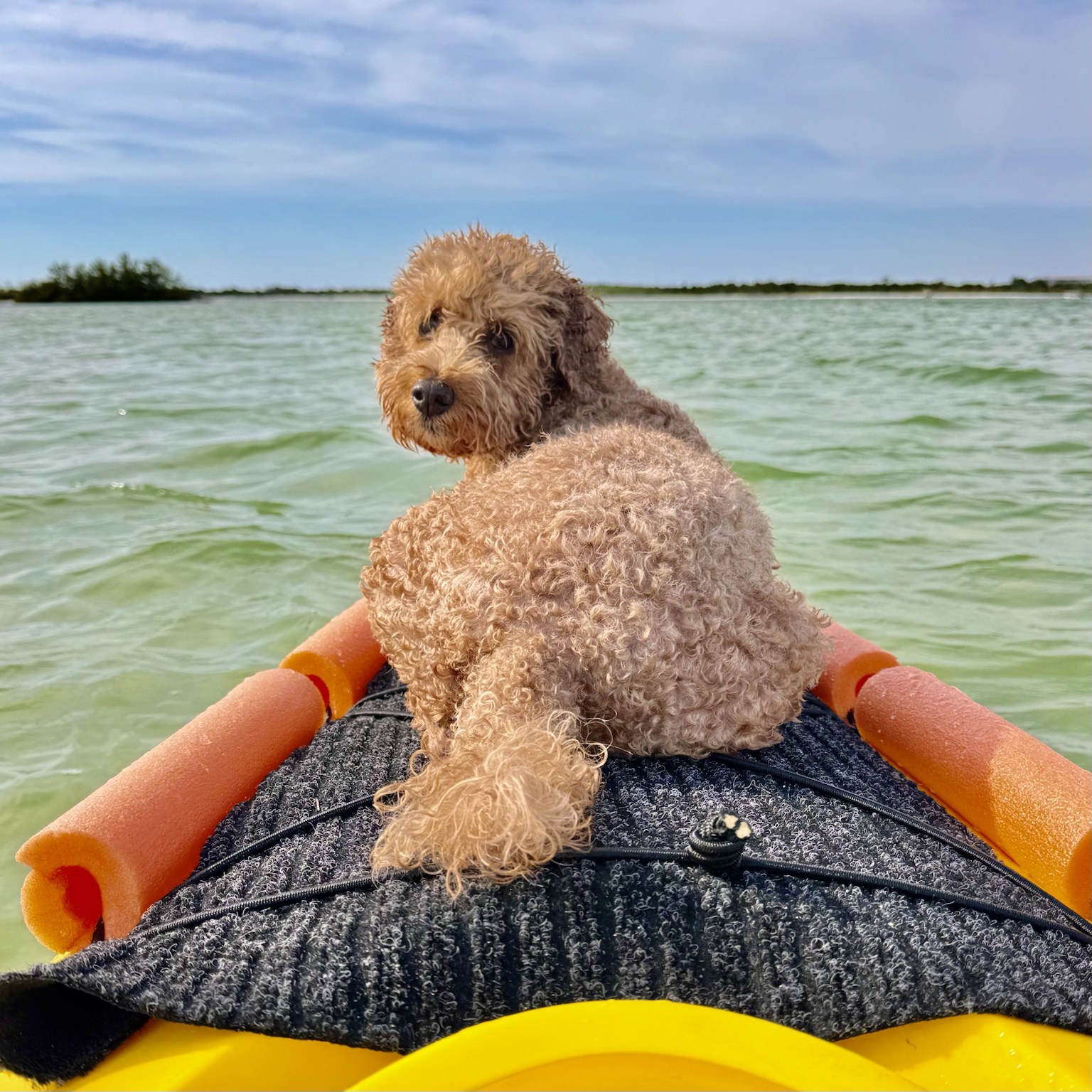 Bow rider in paradise, sitting proud while the Gulf does its sparkly blue thing.