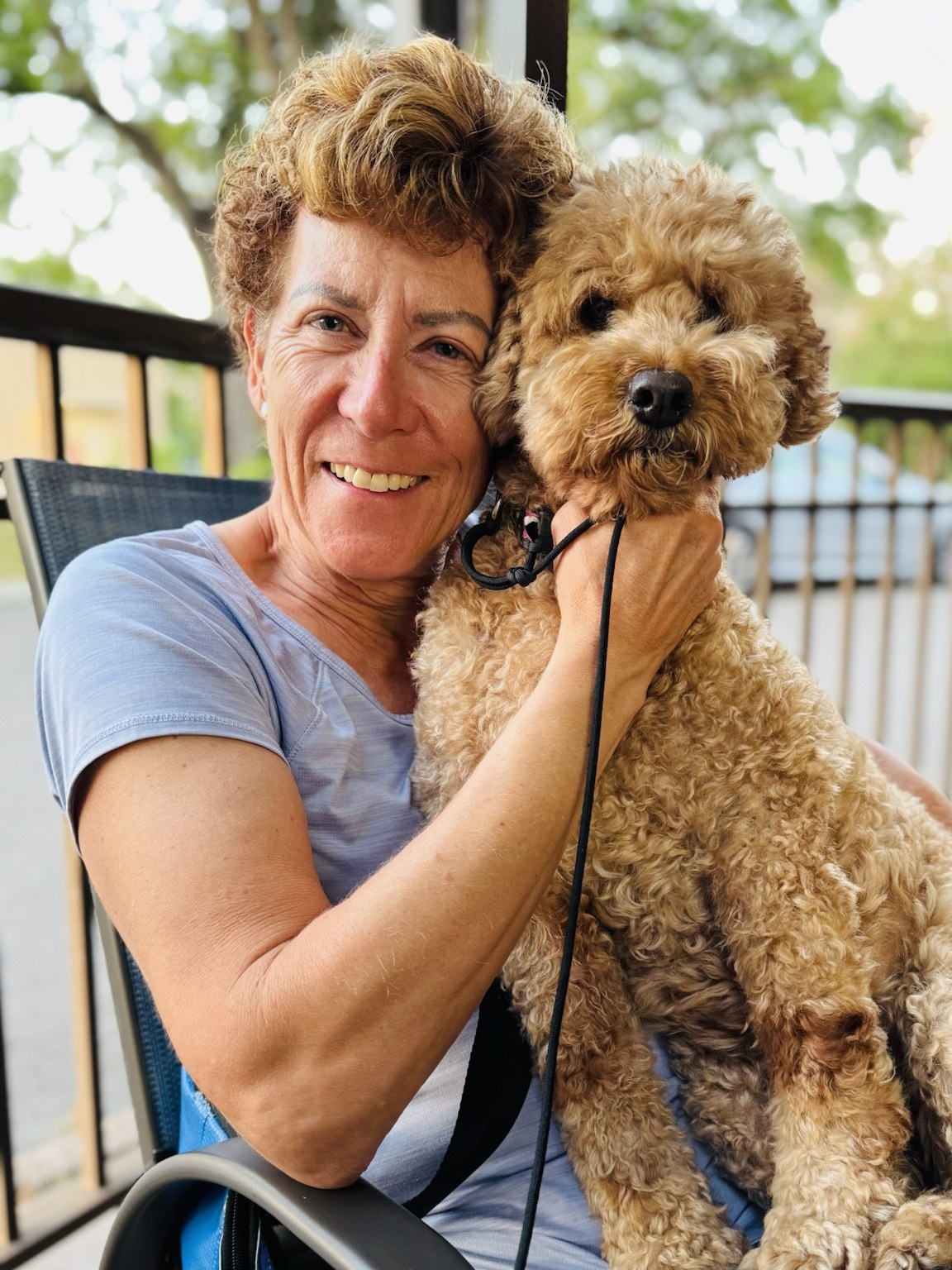 Official portrait of a small dog who knows he is adored and sees no reason to be modest about it.
