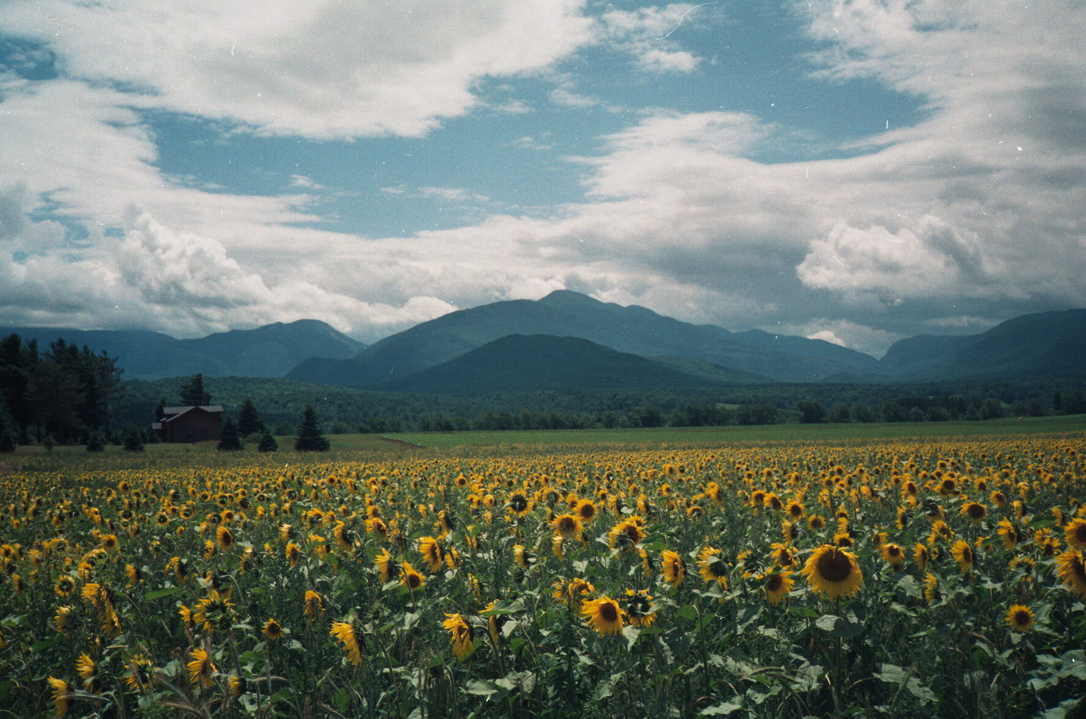 The Adirondack High Peaks — a different kind of mountain country from the ranges I knew so well in New England.