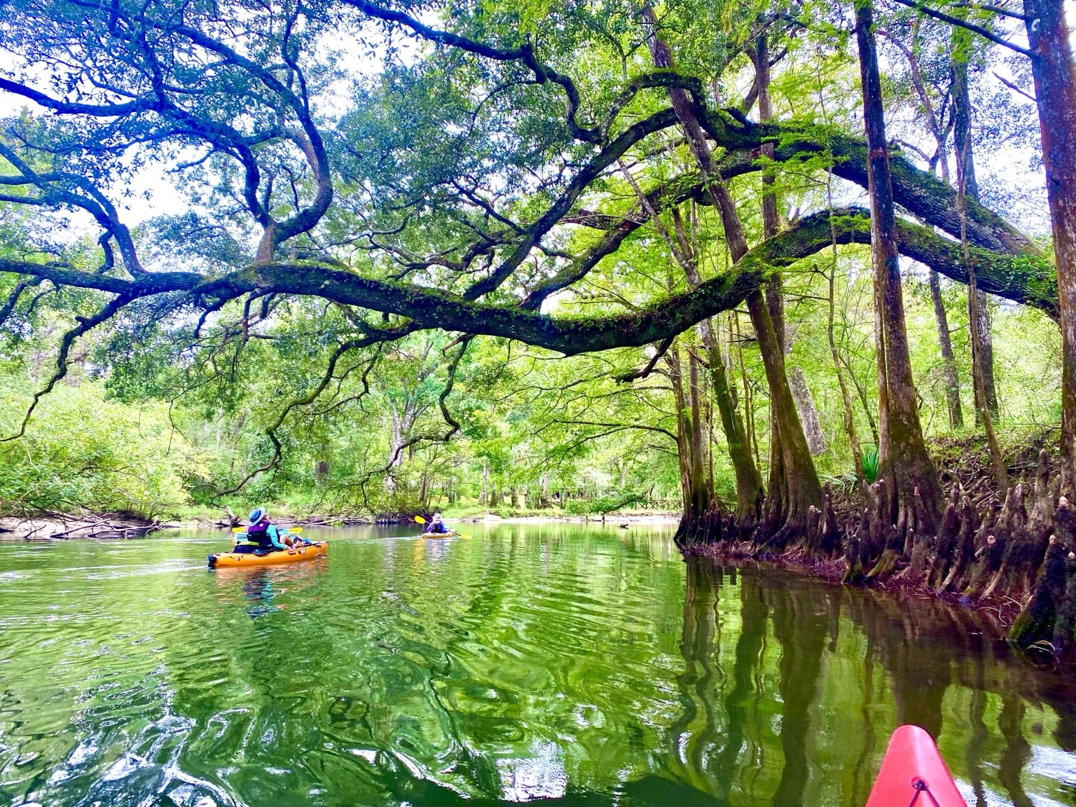 Holmes Creek paddling scene