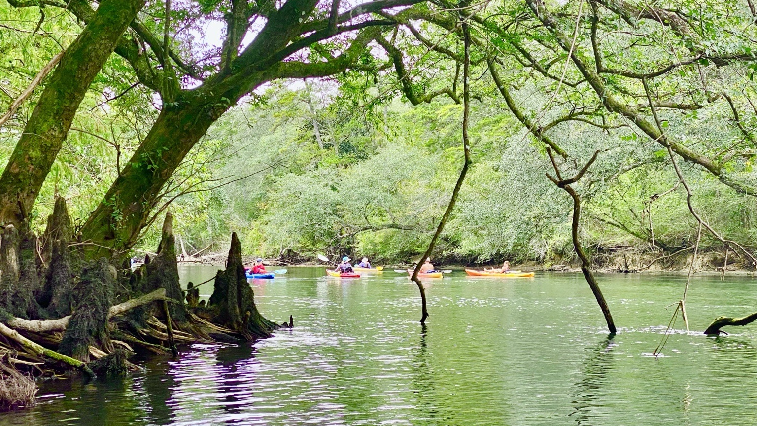 Holmes Creek paddling scene