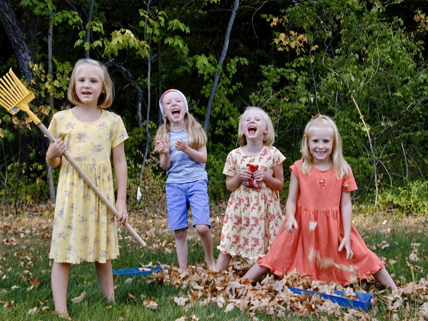 Juliet, Jenny, Izzy, and Lily playing in leaves