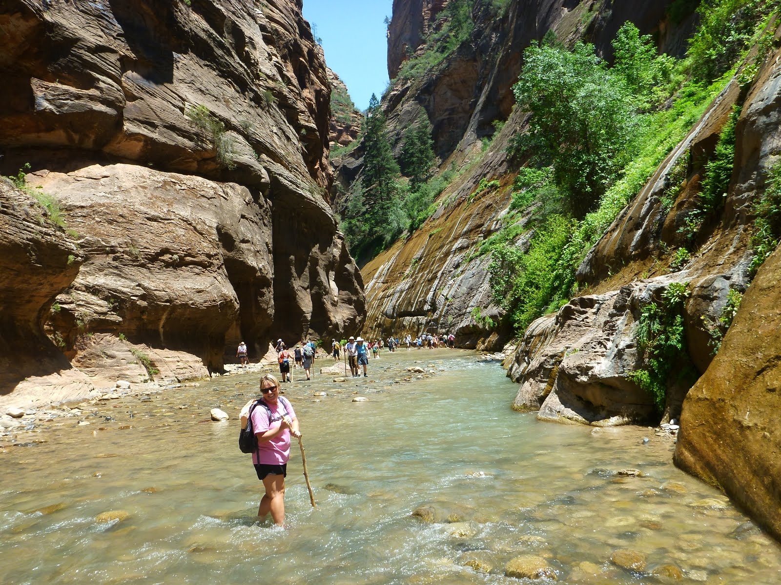 Clear water, rounded river stones, and a bend leading deeper into the canyon.