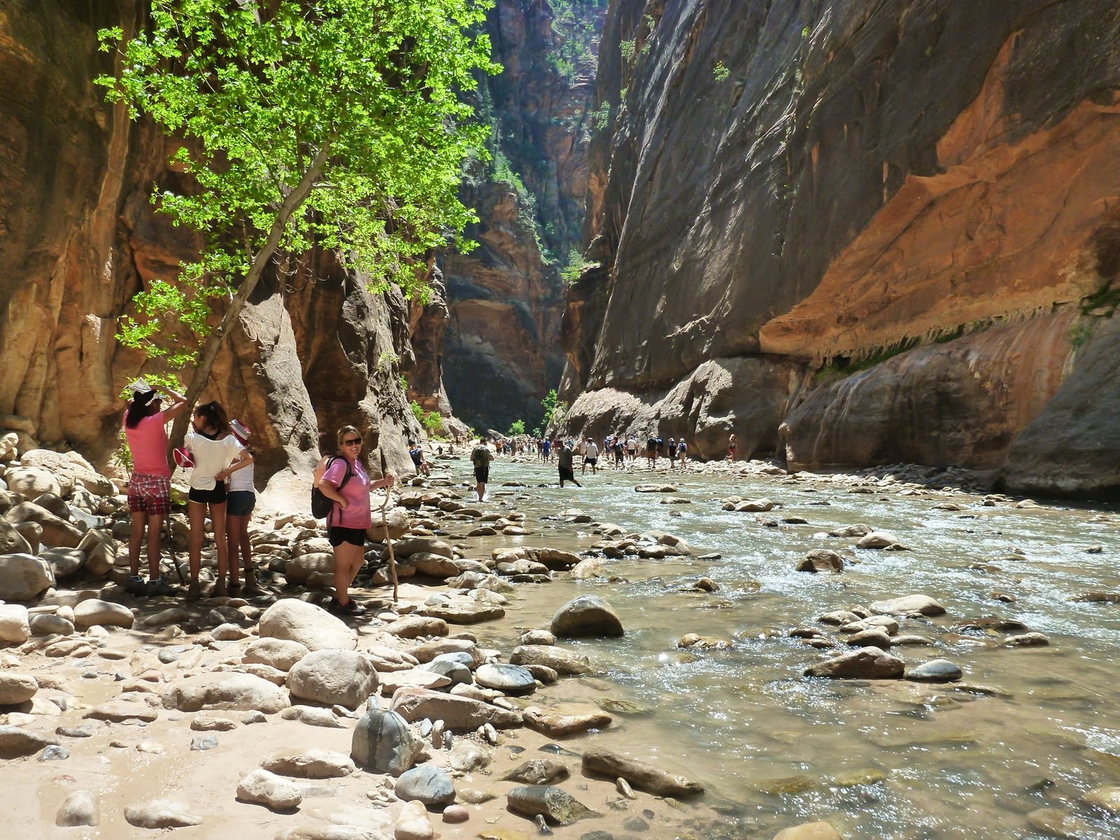 Cindy pausing on the river rocks before continuing upstream.