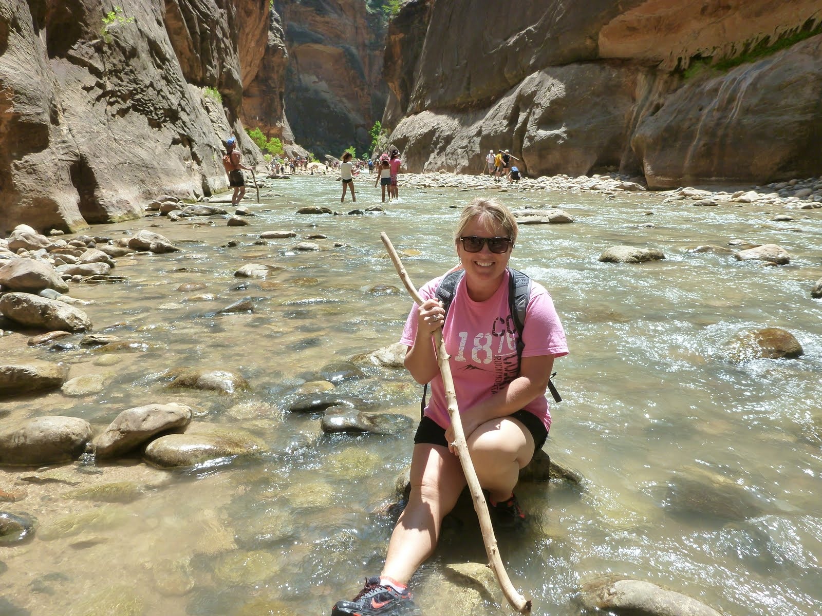 Cindy taking a cooling break in the shallow river.