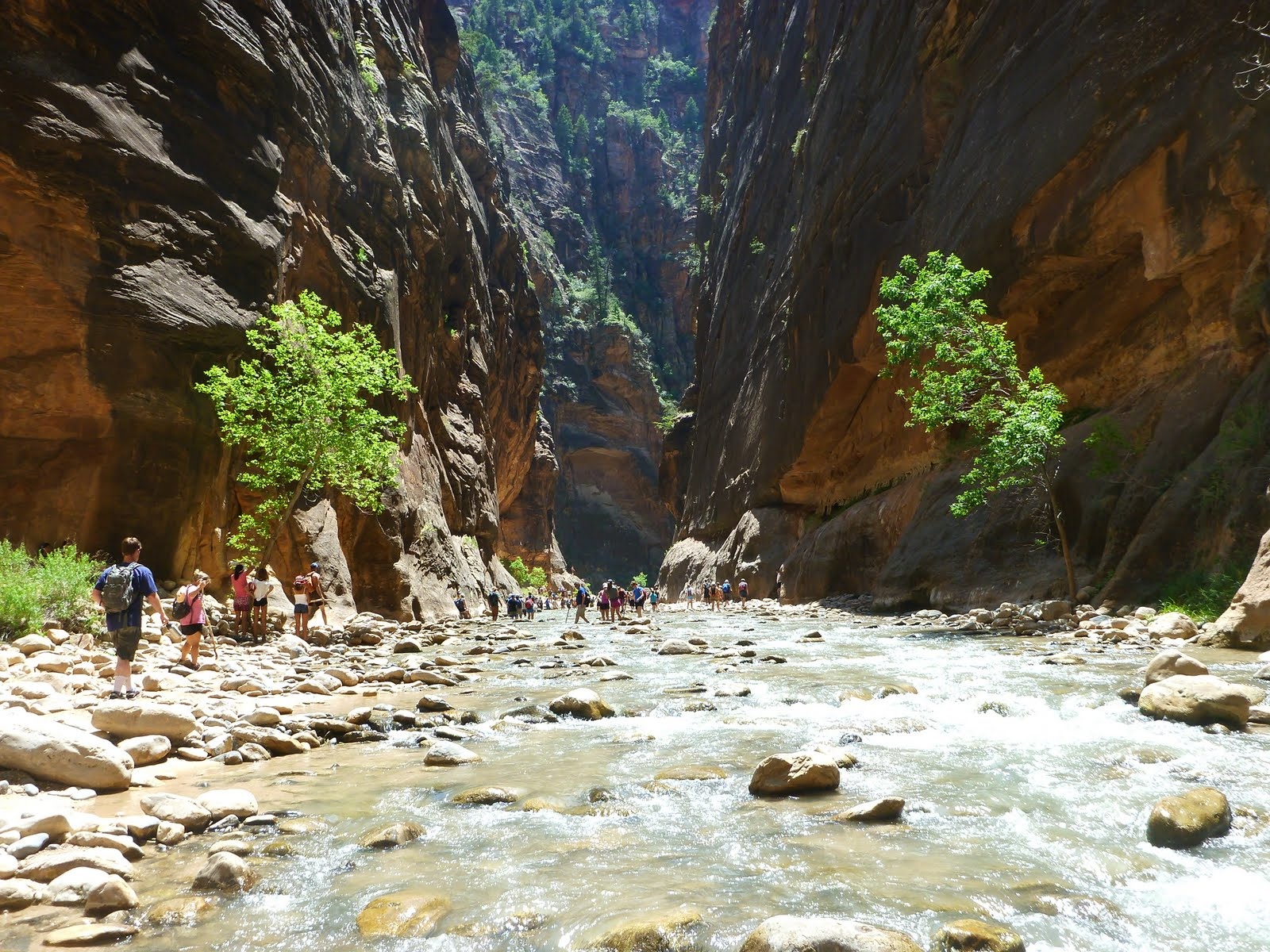 A wide upstream view showing the scale and beauty of the canyon.