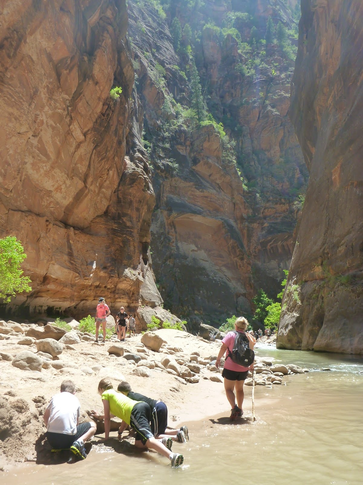 Hikers dwarfed by the glowing orange walls of Zion Canyon.