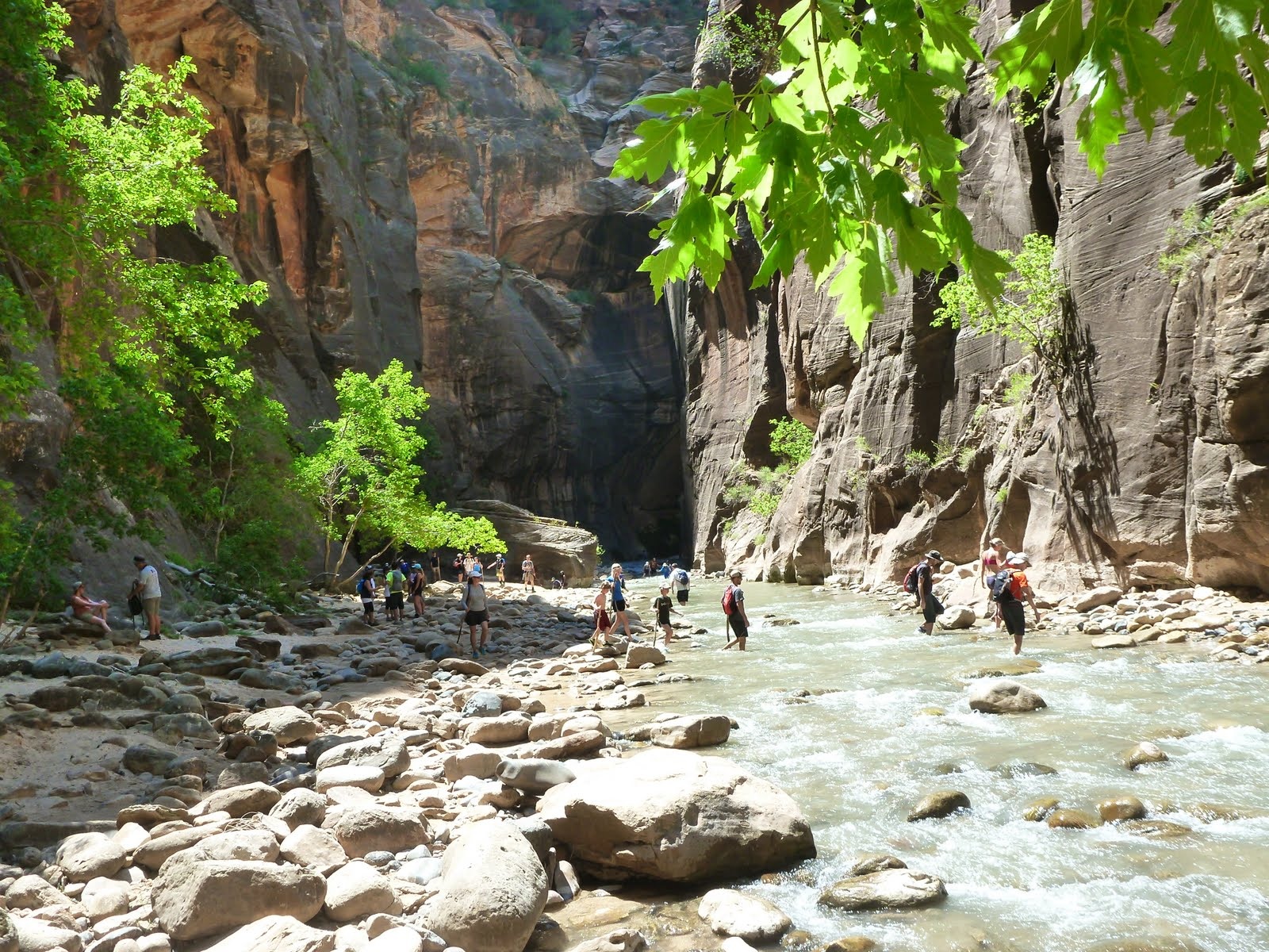 The Virgin River flowing beside a dark, overhanging wall.