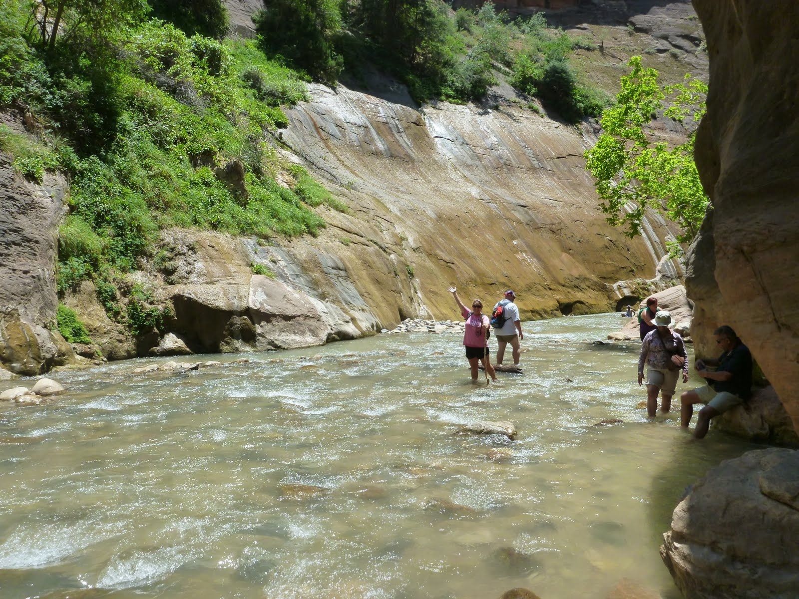 The Virgin River curving between steep walls in the Narrows.