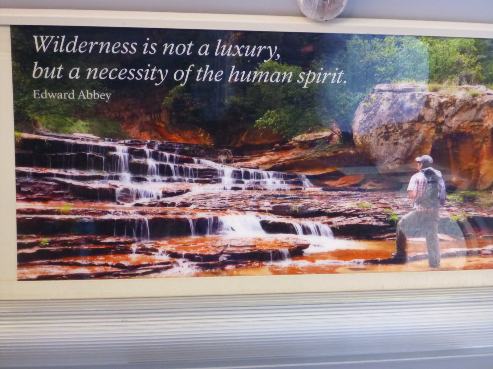 A Zion reminder that wilderness is a necessity of the human spirit.