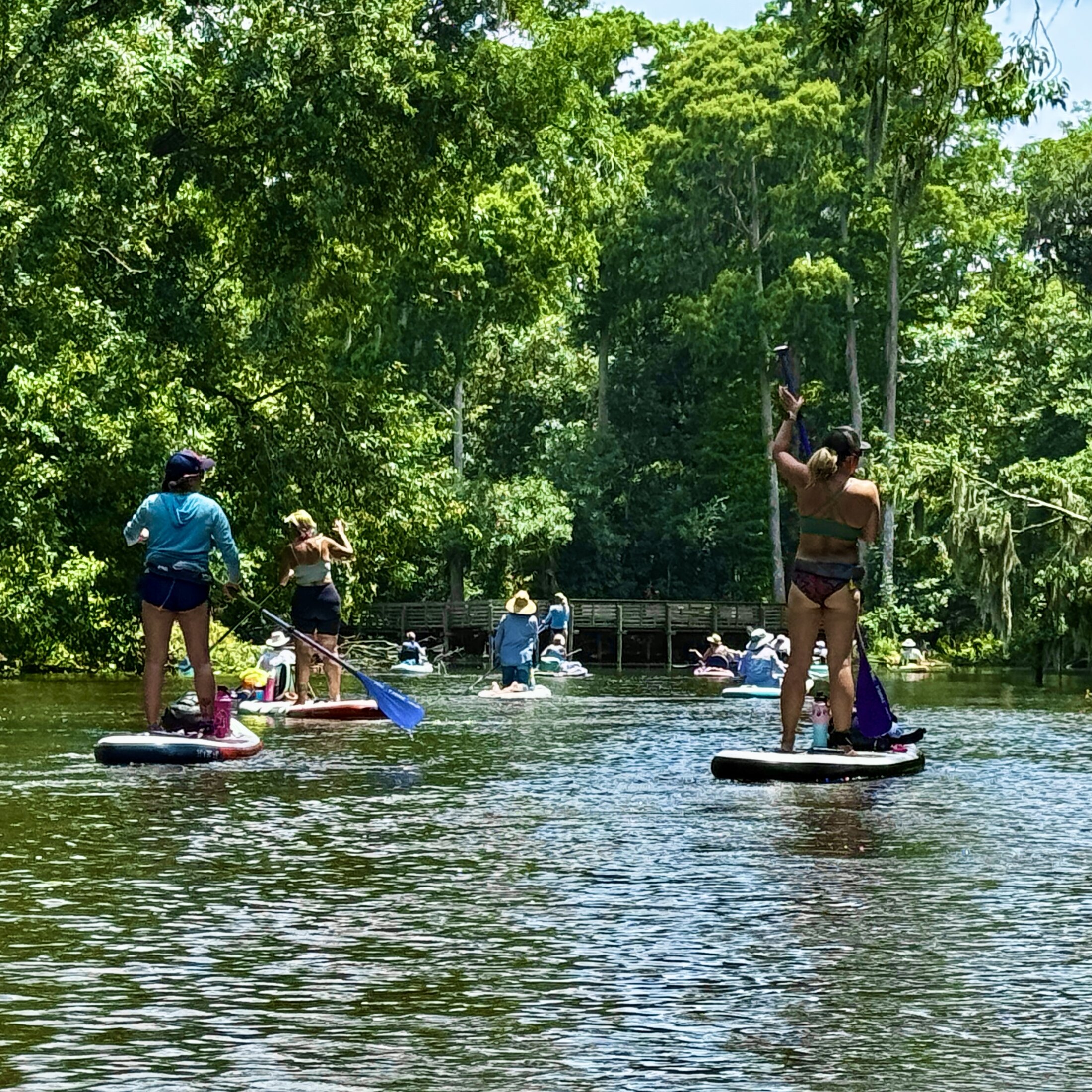 Kayakers and paddleboarders entering Seventeen Runs