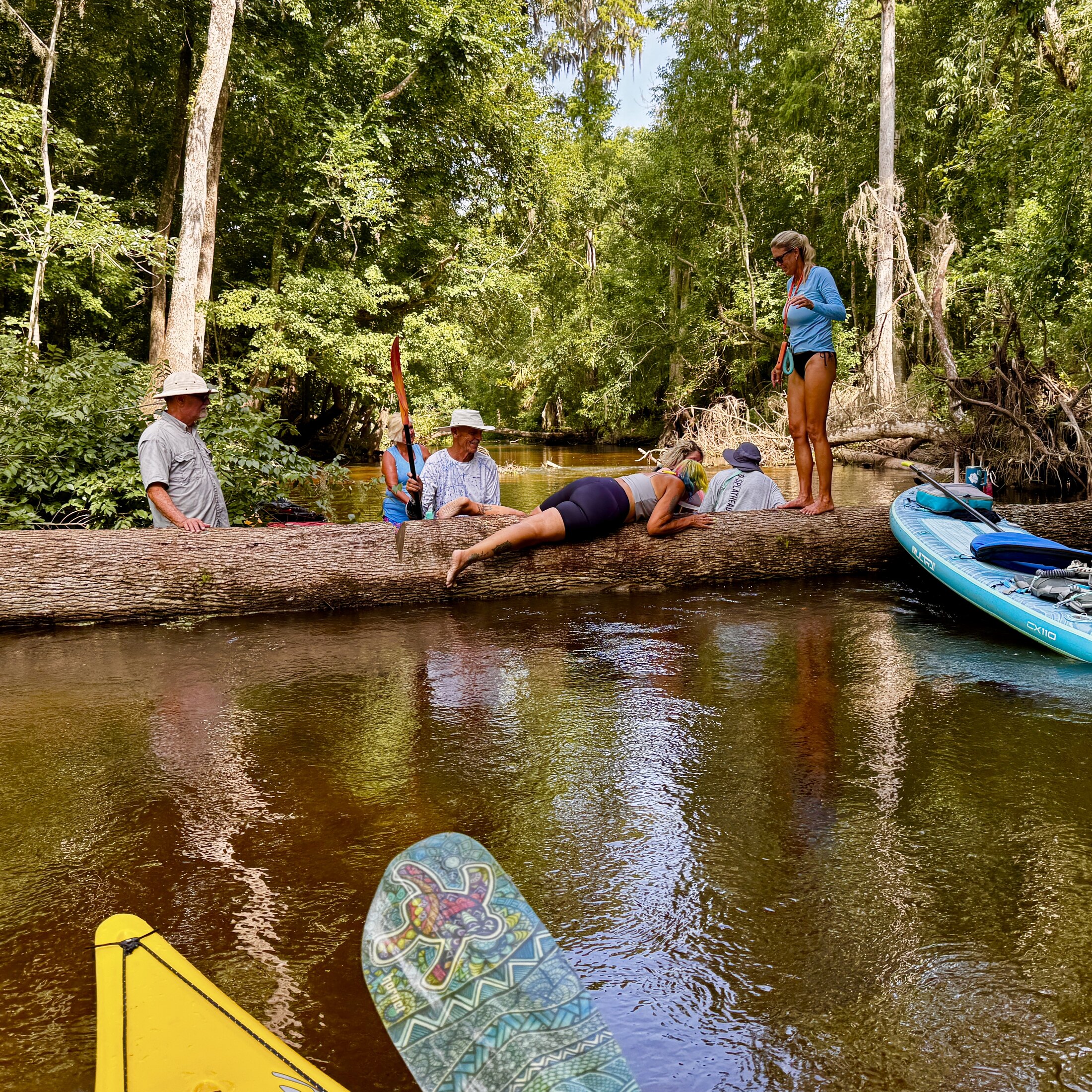 Group climbing over a fallen tree