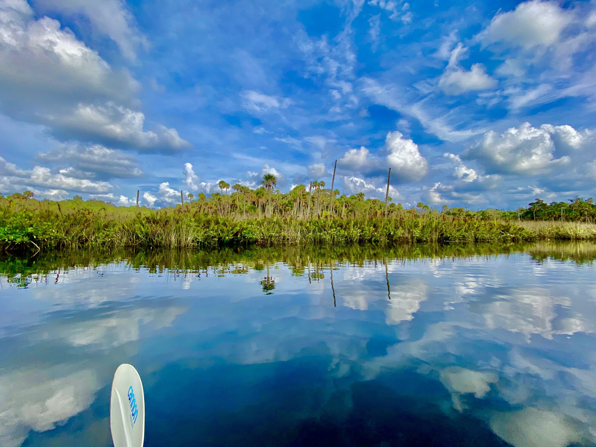Blue sky and clouds reflected in marsh water