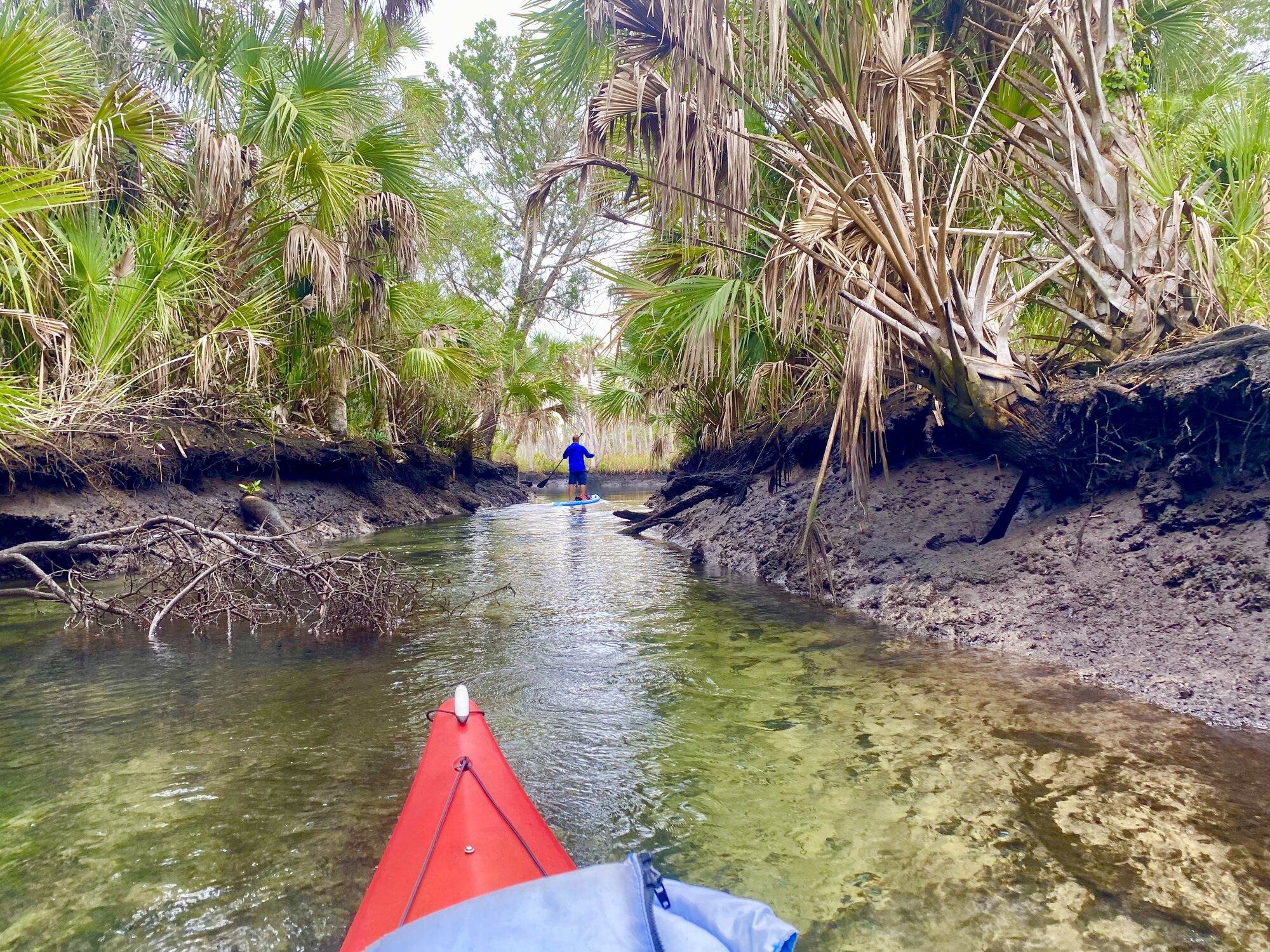 Clear water near the Aripeka paddle launch