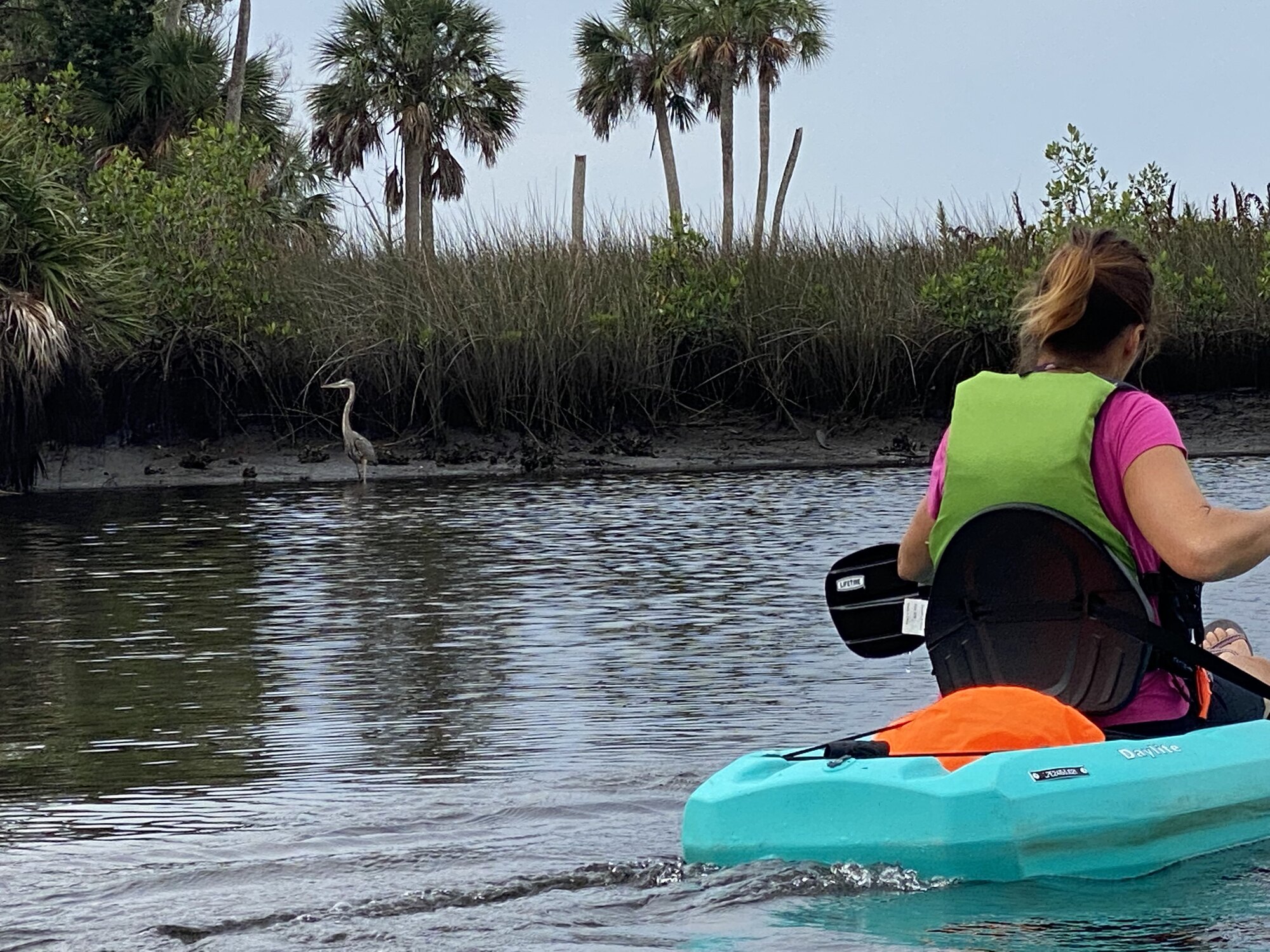 Diana paddling a turquoise kayak beside the marsh