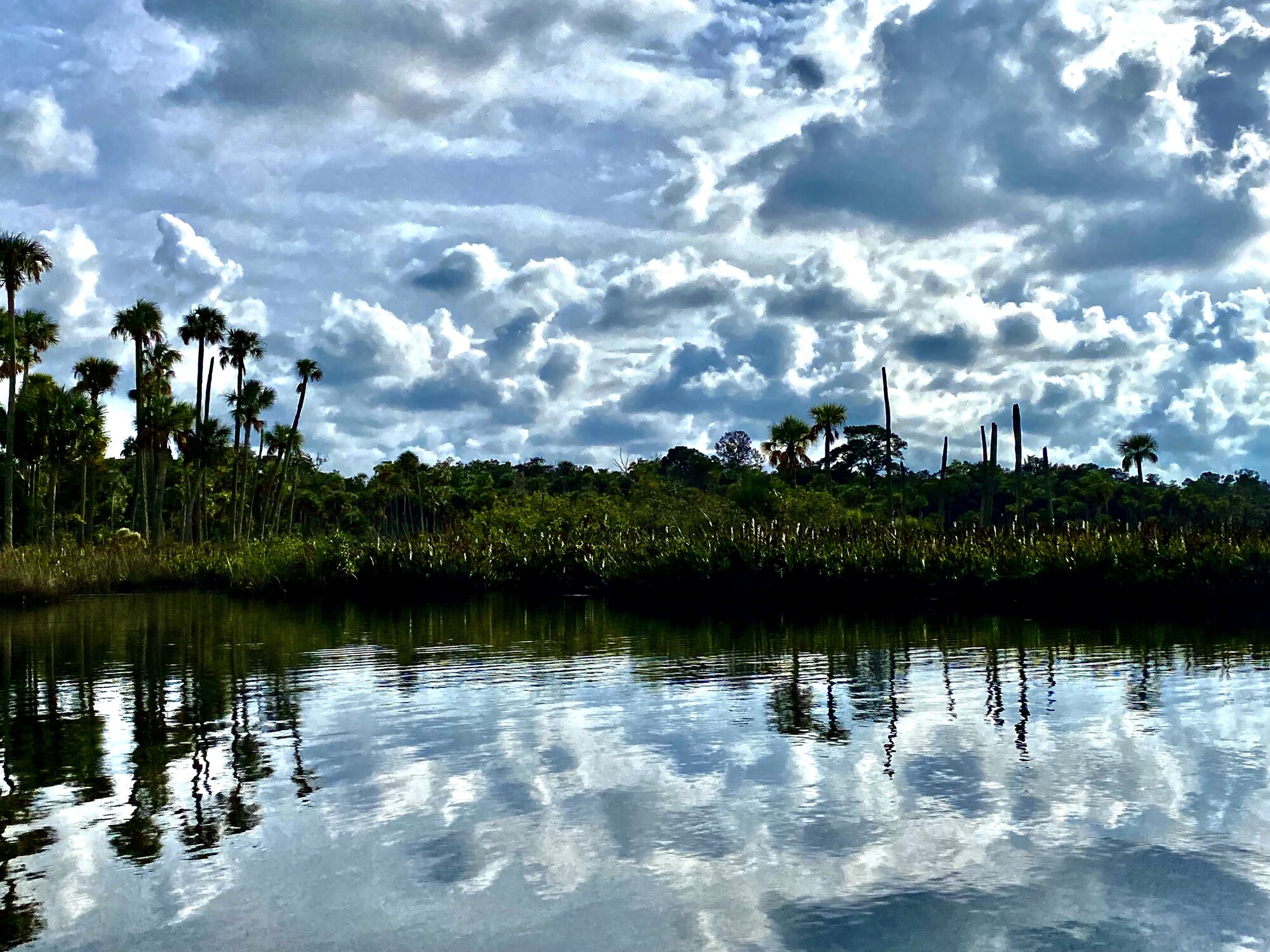 Dramatic clouds reflected in calm Jenkins Creek water