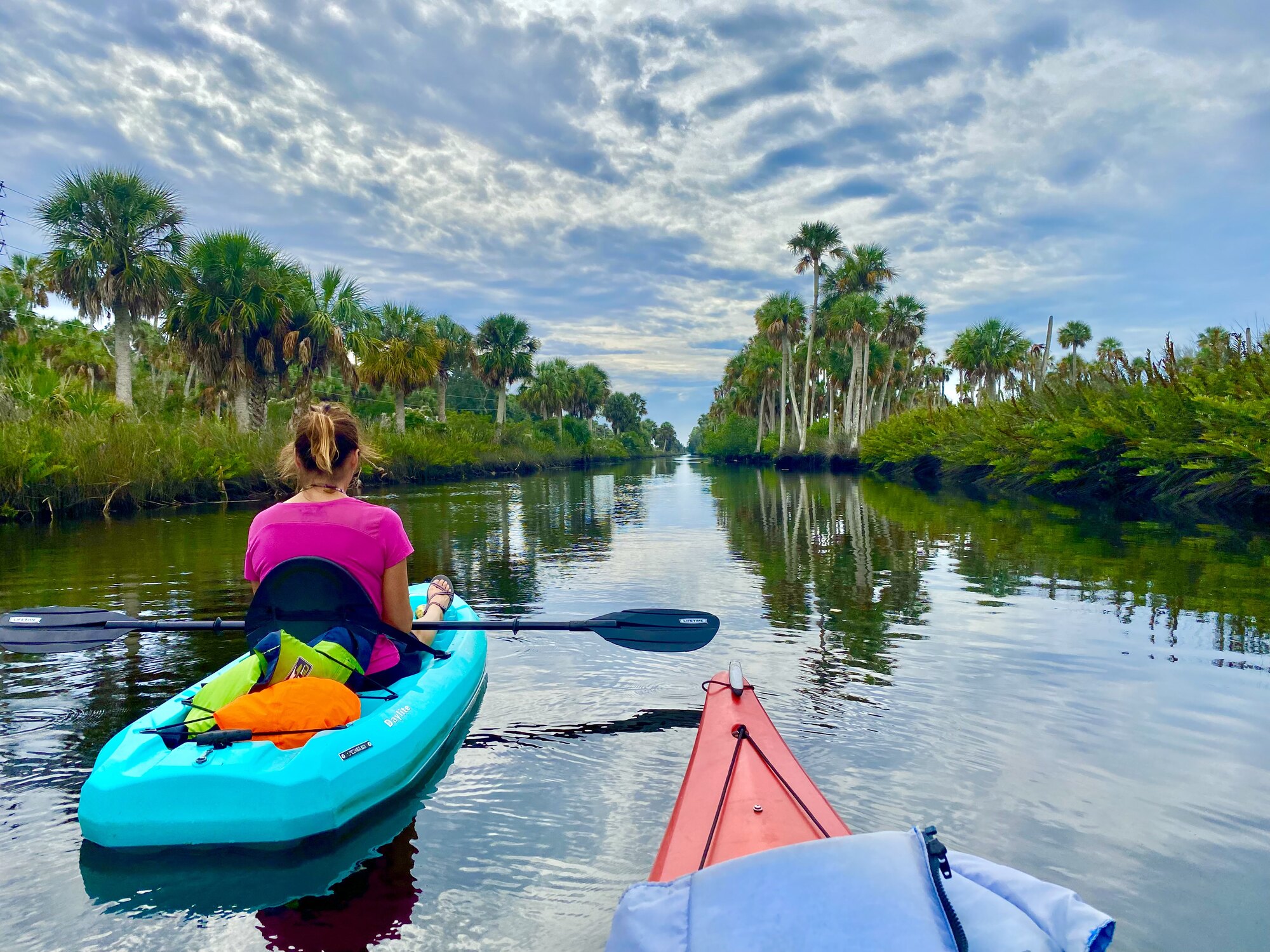 Following Diana along a calm palm-lined creek