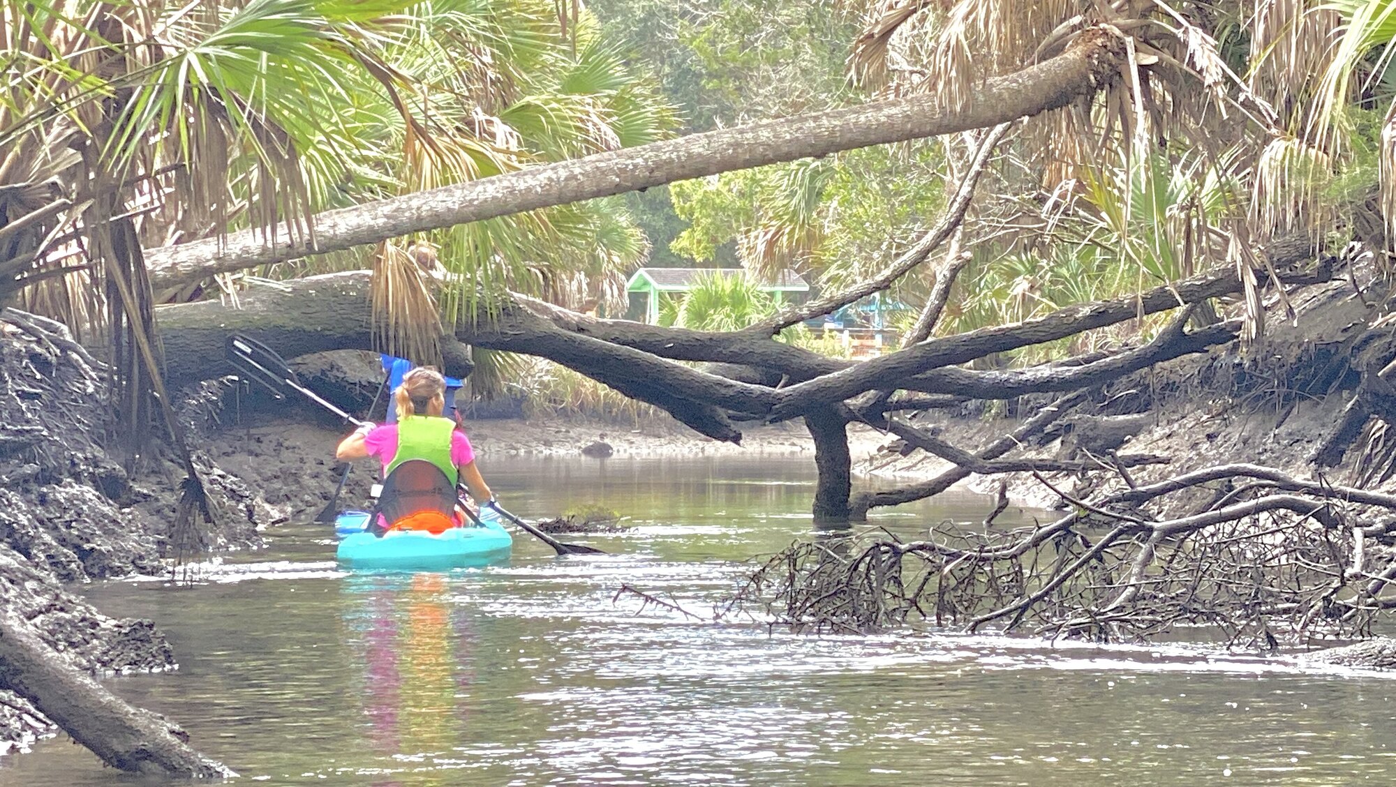 Diana paddling beneath a low branch on Jenkins Creek