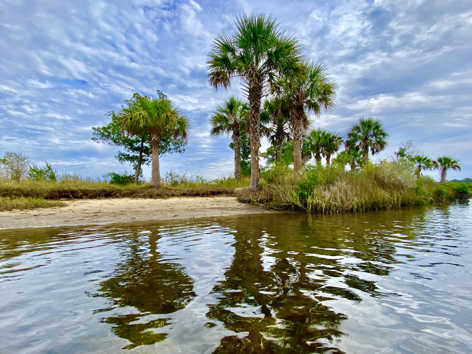 Small palm hammock on sandy shore