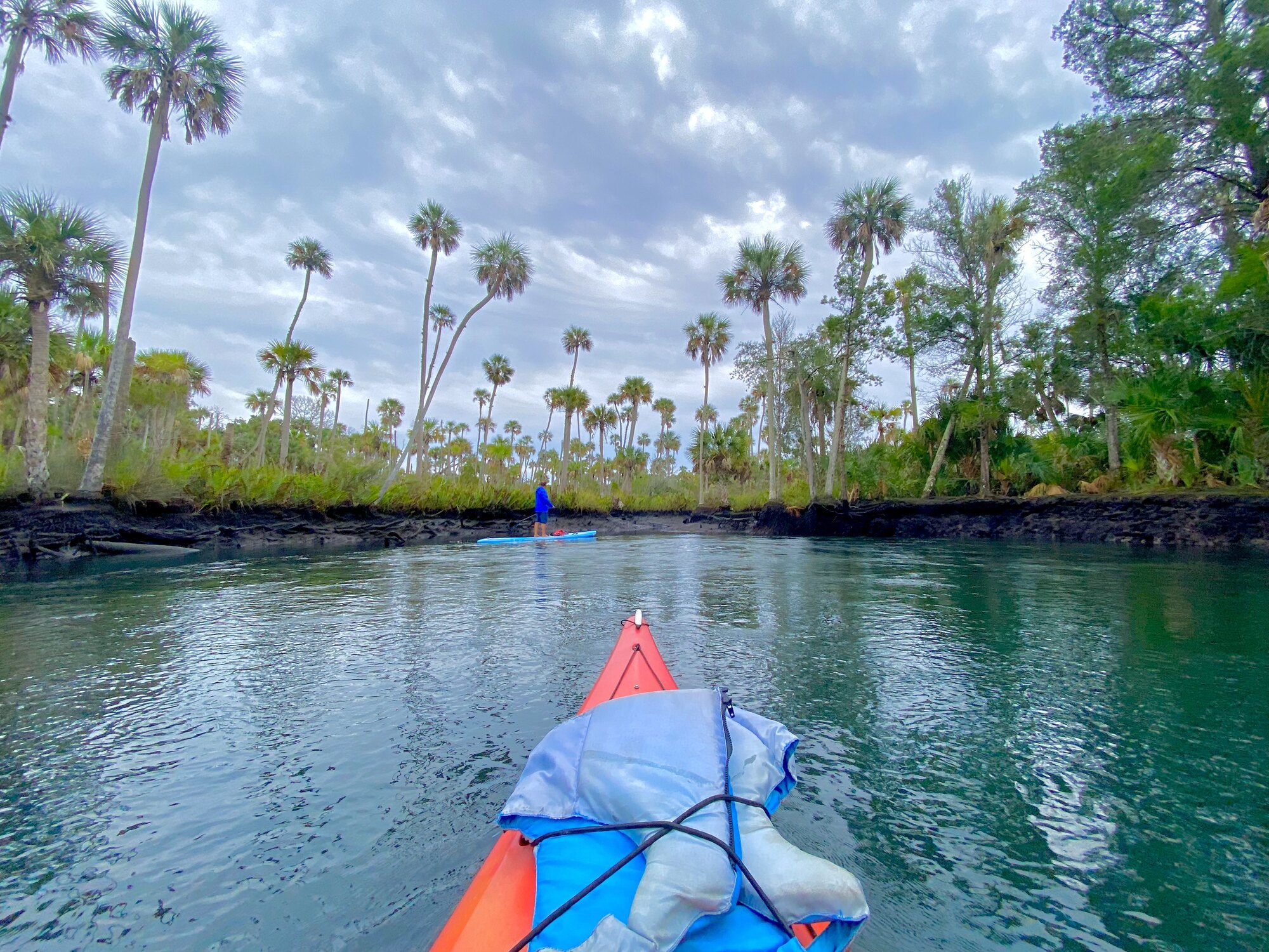 Kayak leaving the enclosed Jenkins Spring reach for palms and open water