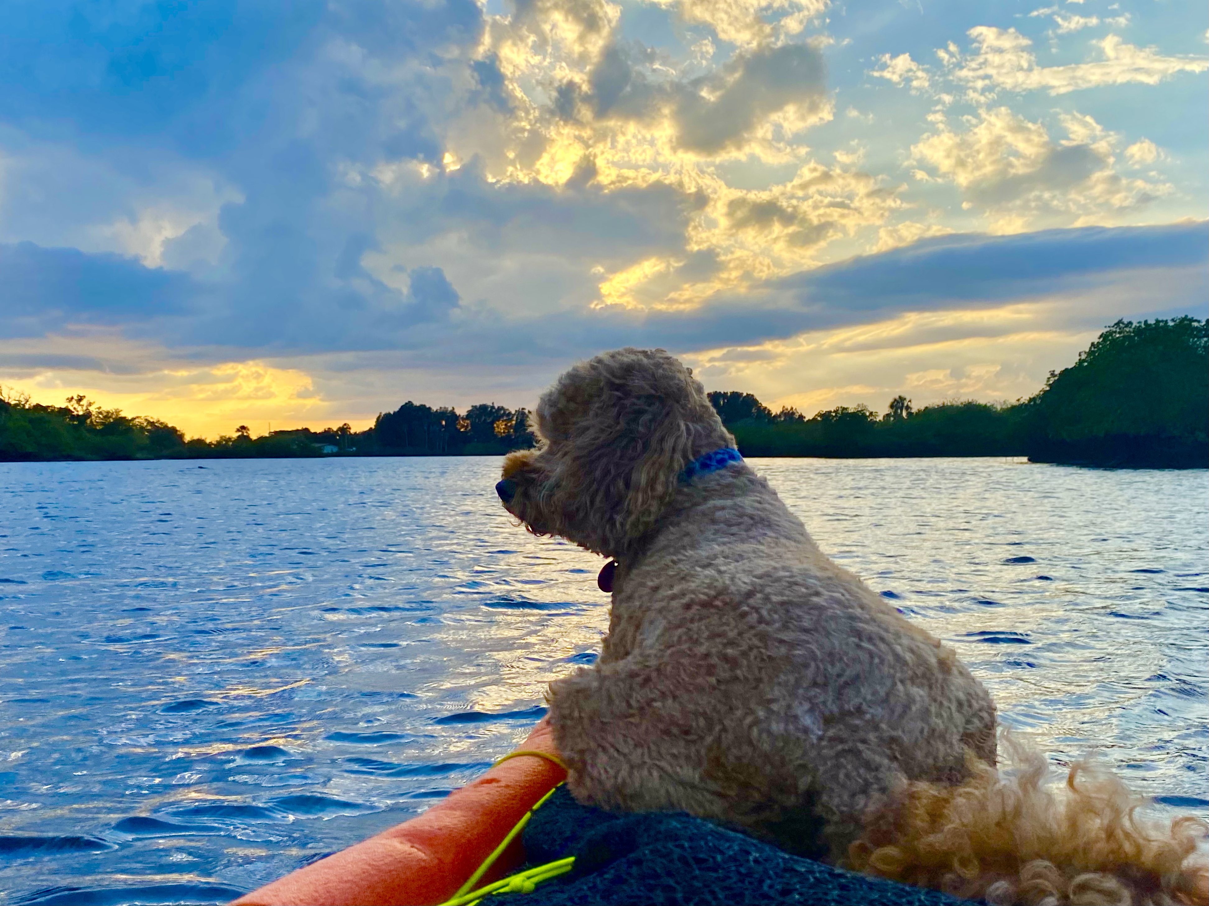 Buddyboy riding under a dramatic evening sky