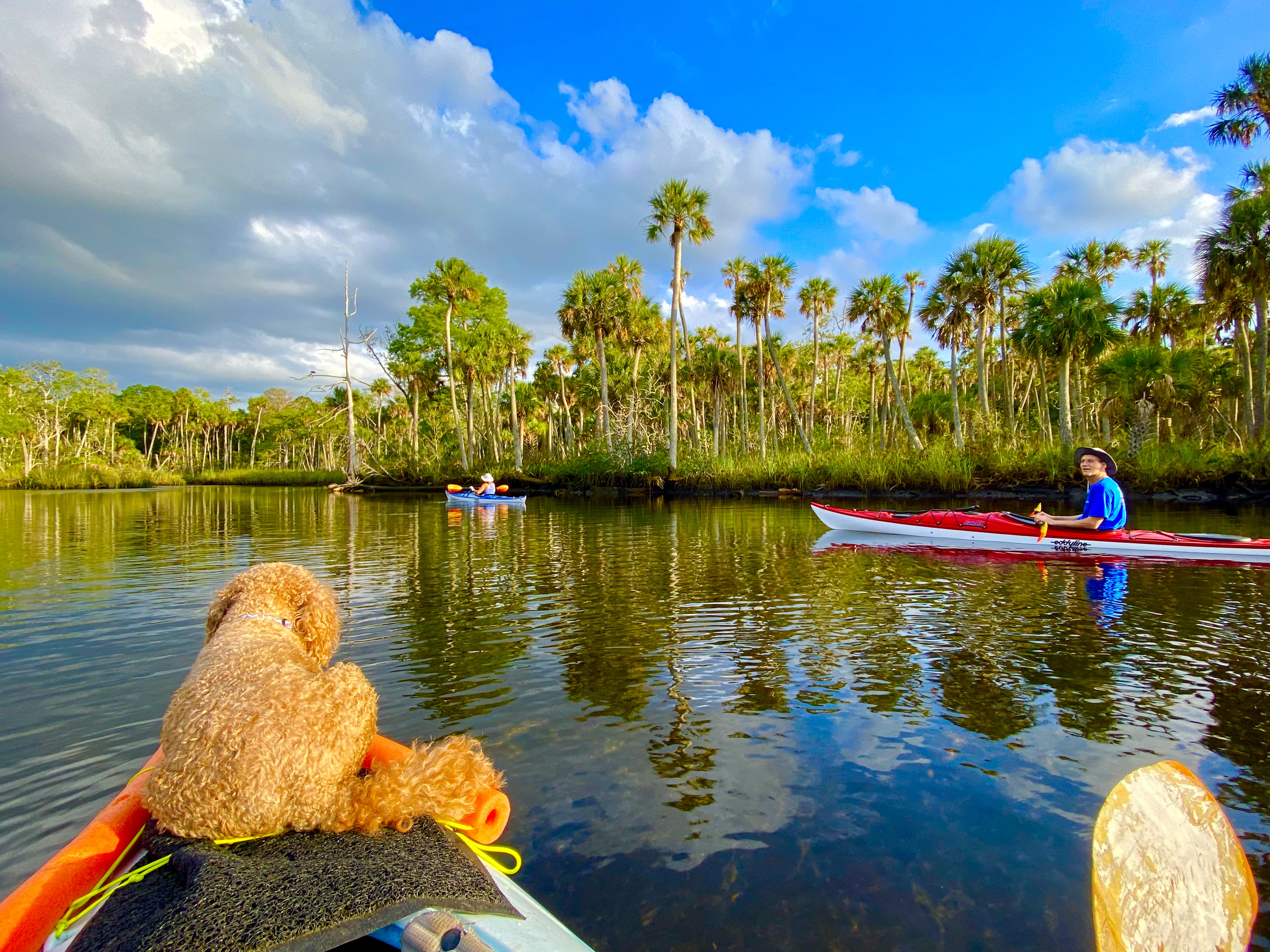 Three kayaks moving through an Aripeka tidal creek