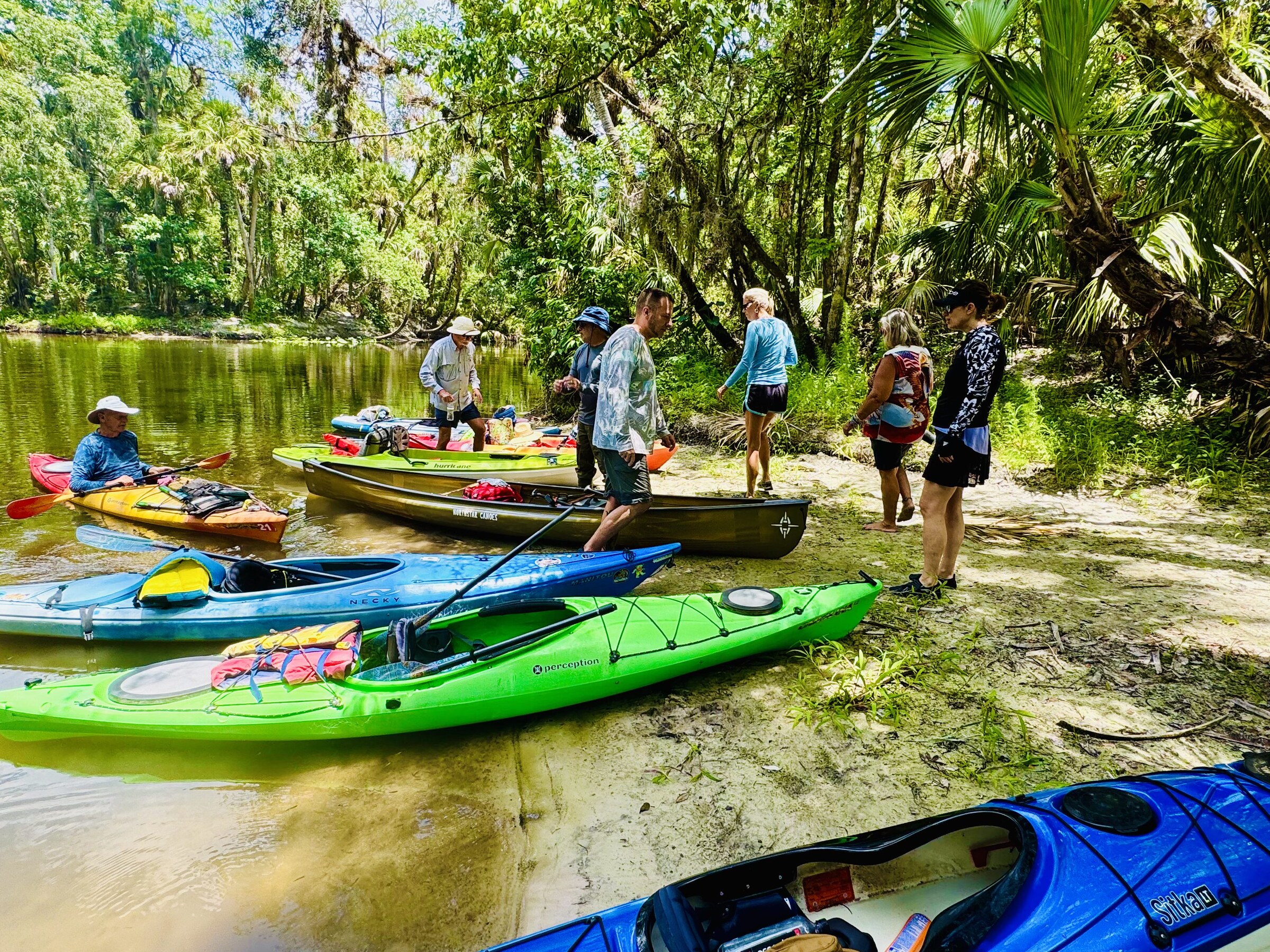 Kayaks pulled onto a small sandy rest stop